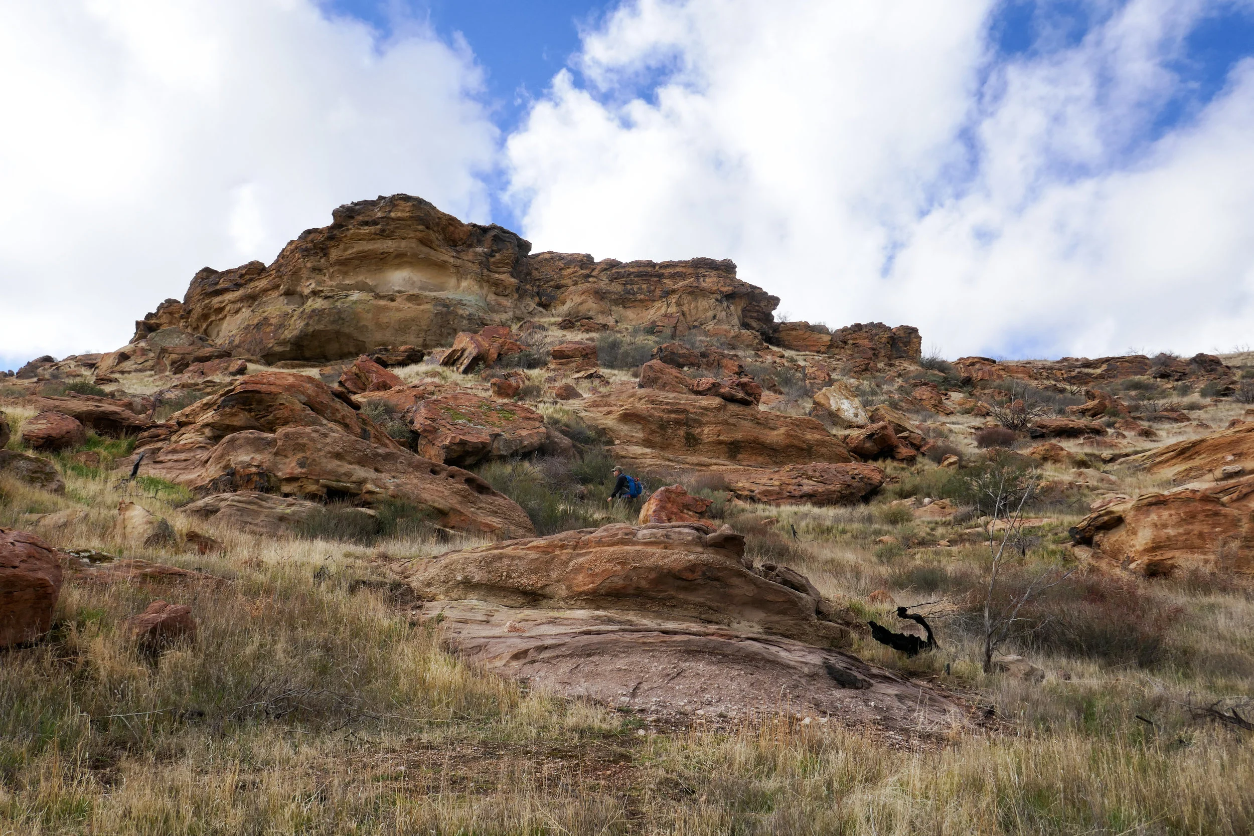 lrP1150789-Edit.jpg