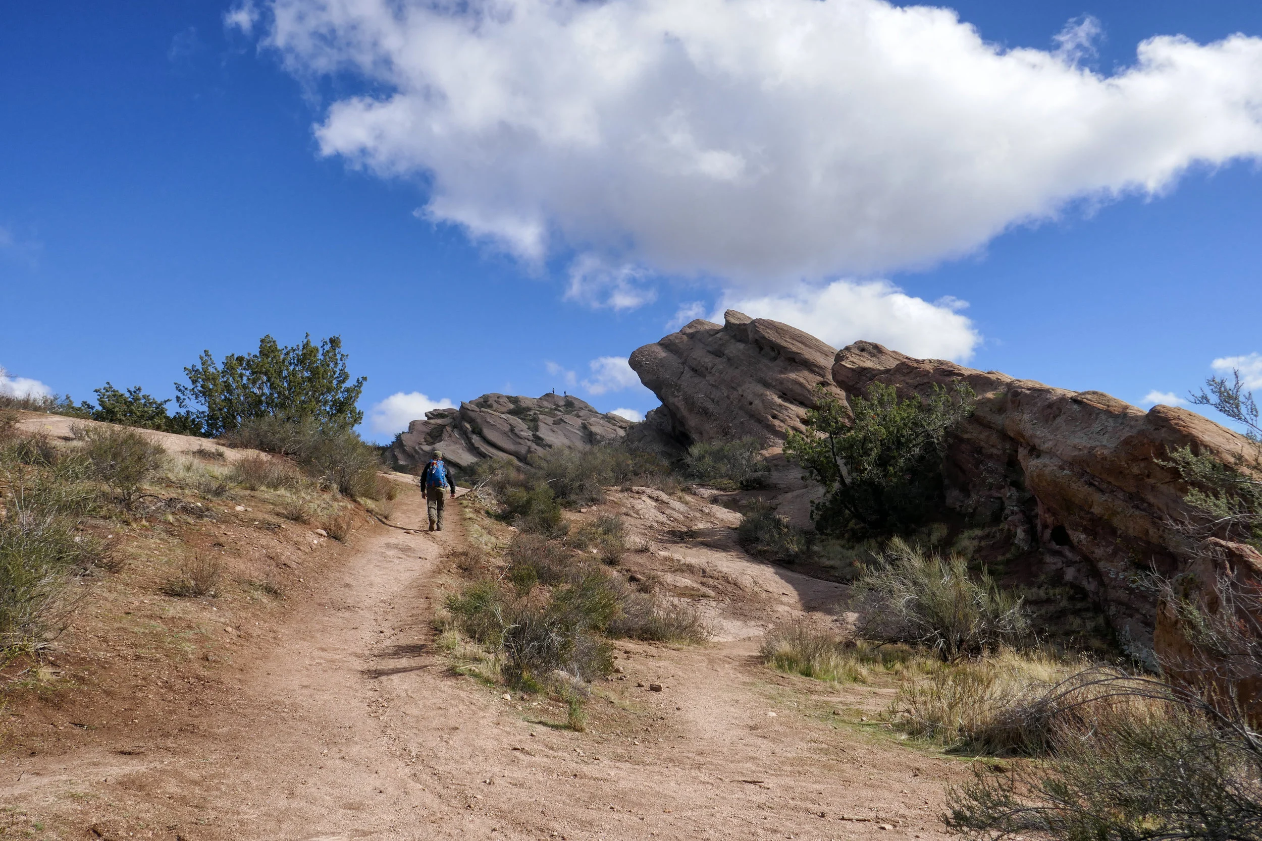 lrP1150812-Edit.jpg