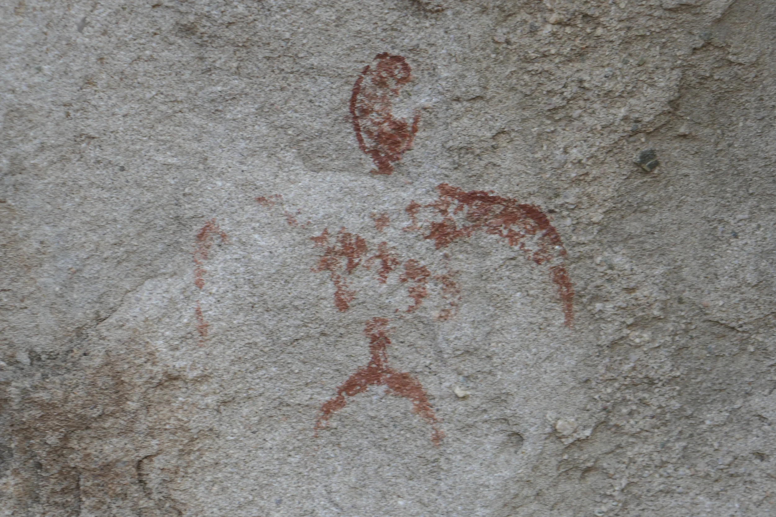 lrP1150815.jpg