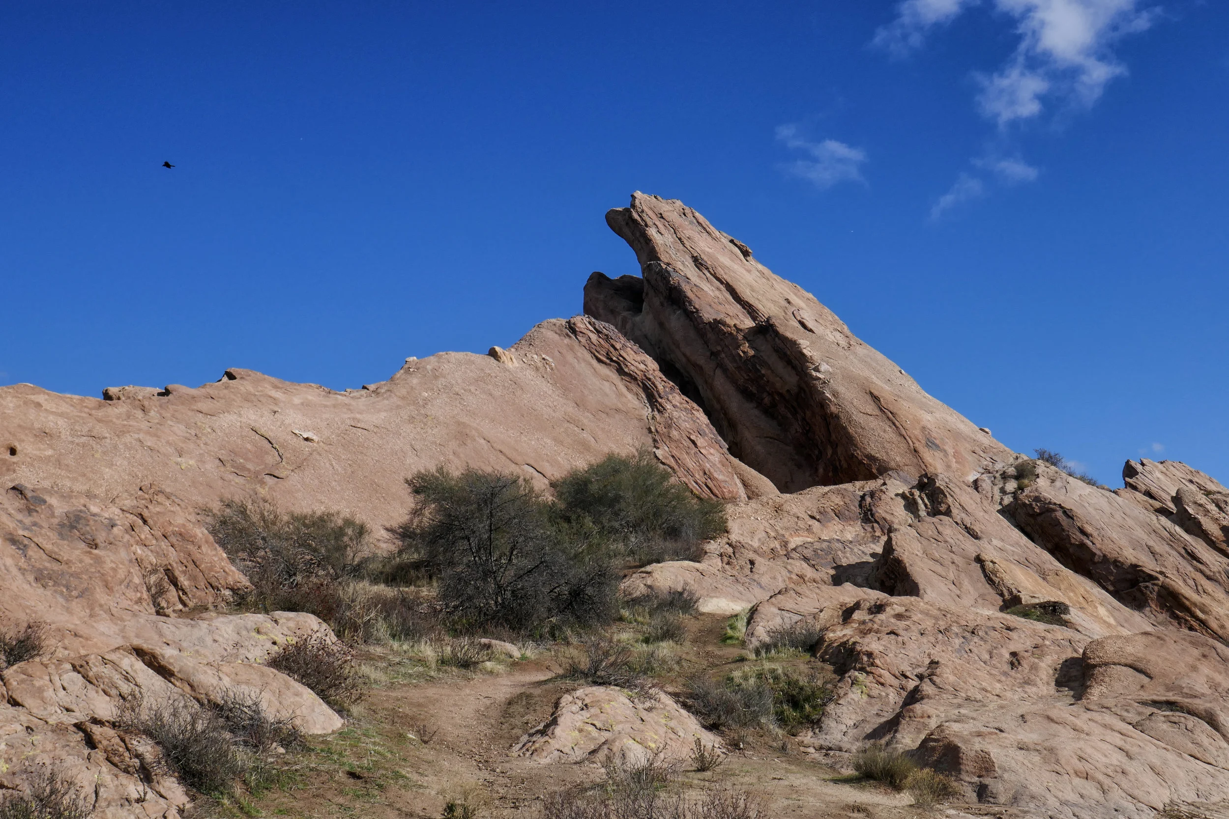 lrP1150822-Edit.jpg