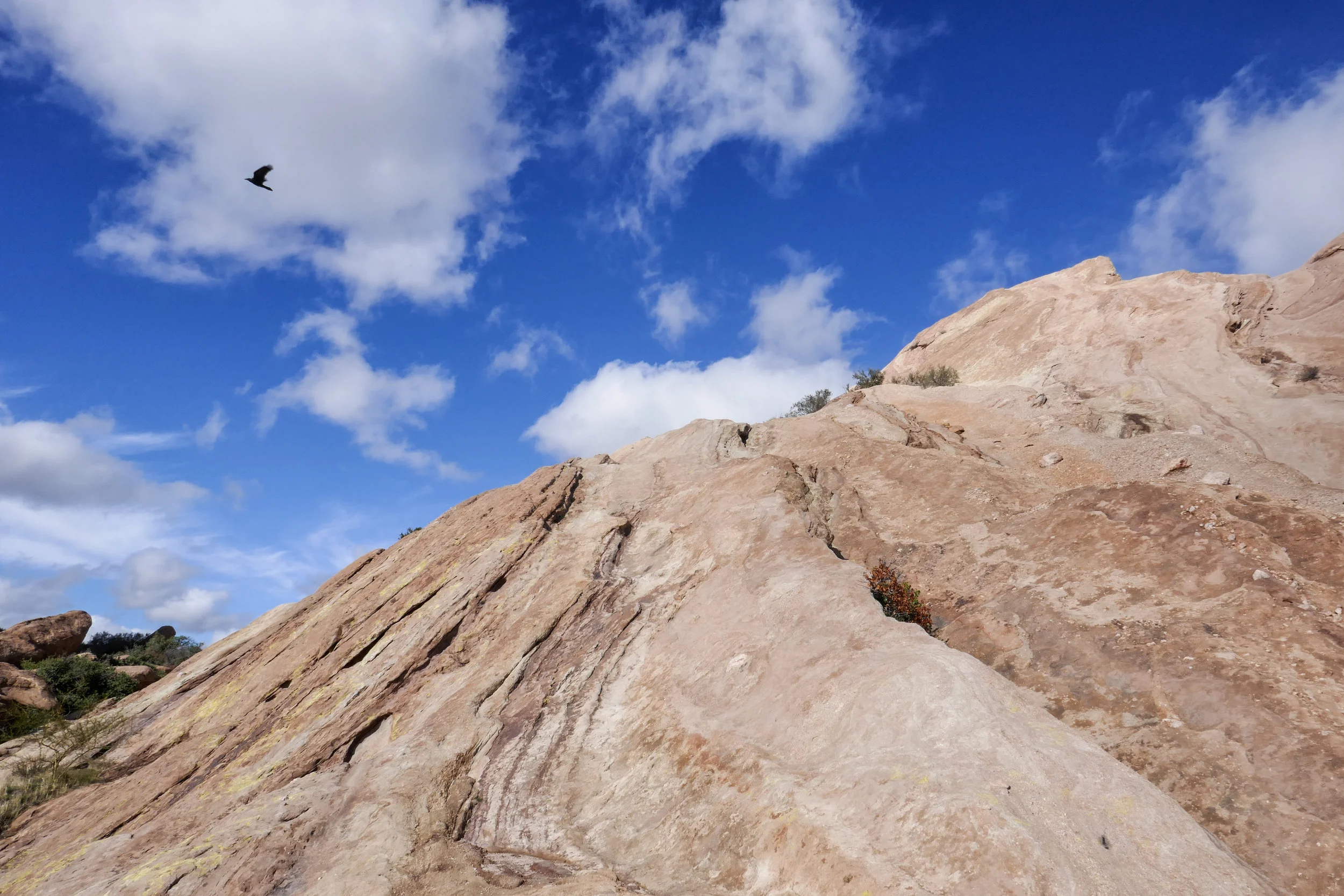 lrP1150827-Edit.jpg