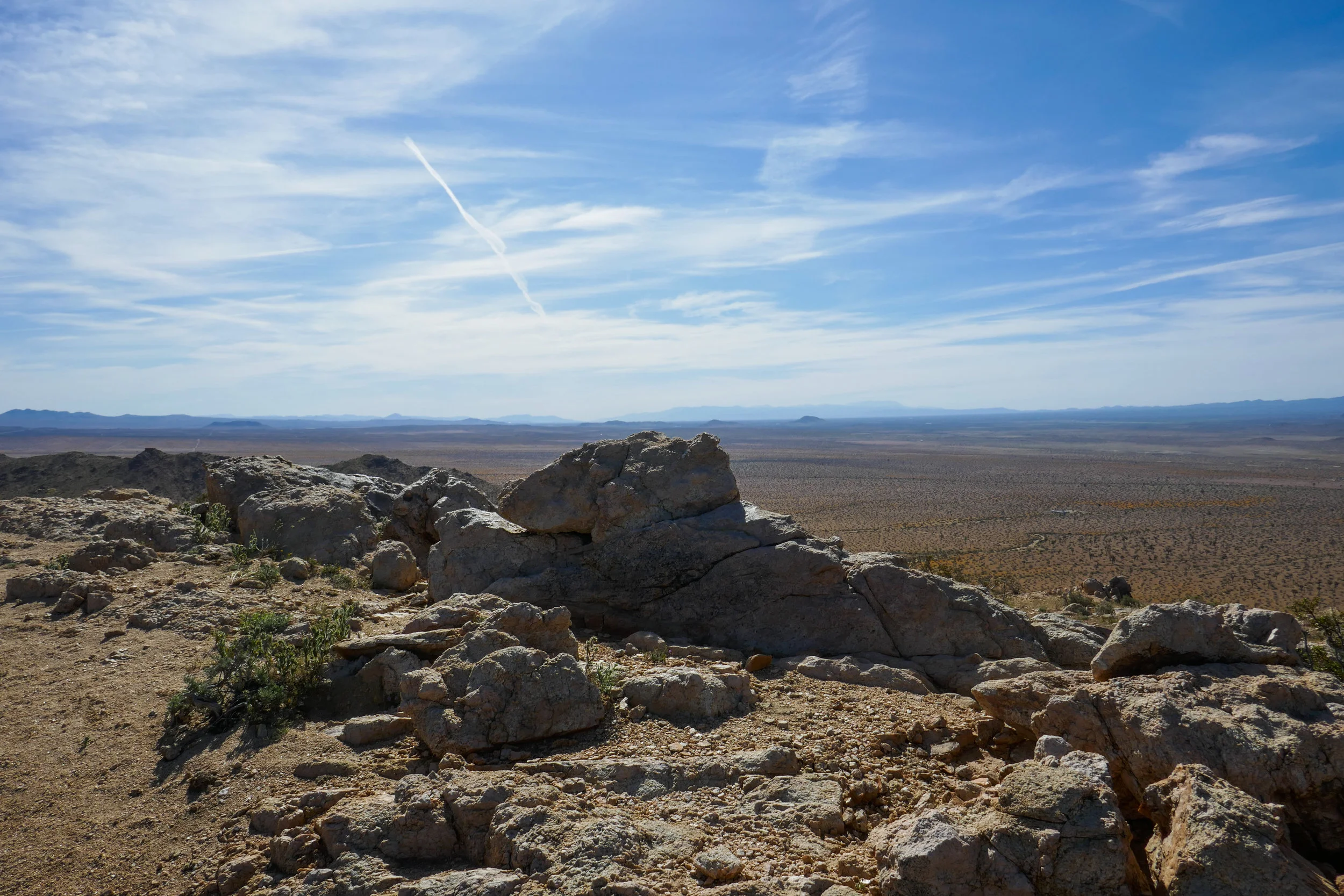 lrP1170871.jpg