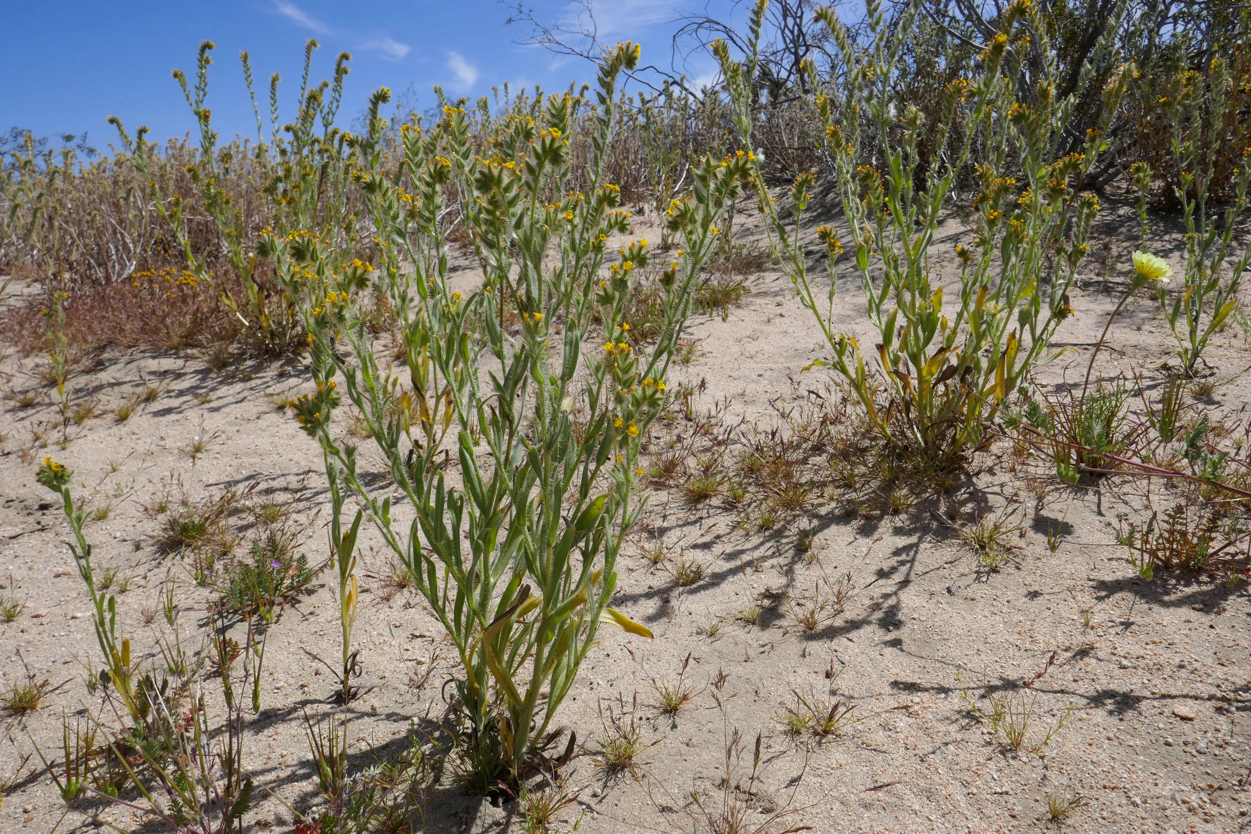 lrP1180026.jpg