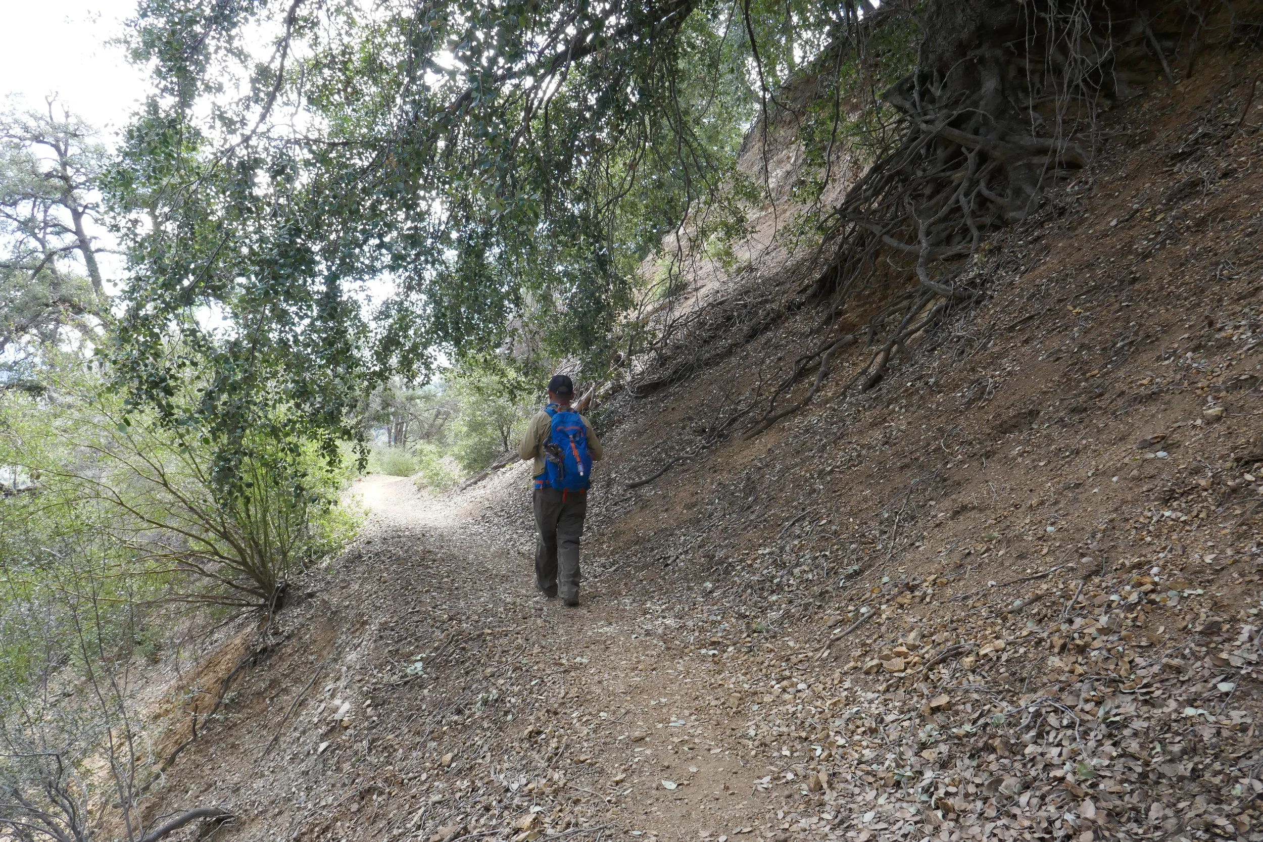 lrP1180192.jpg
