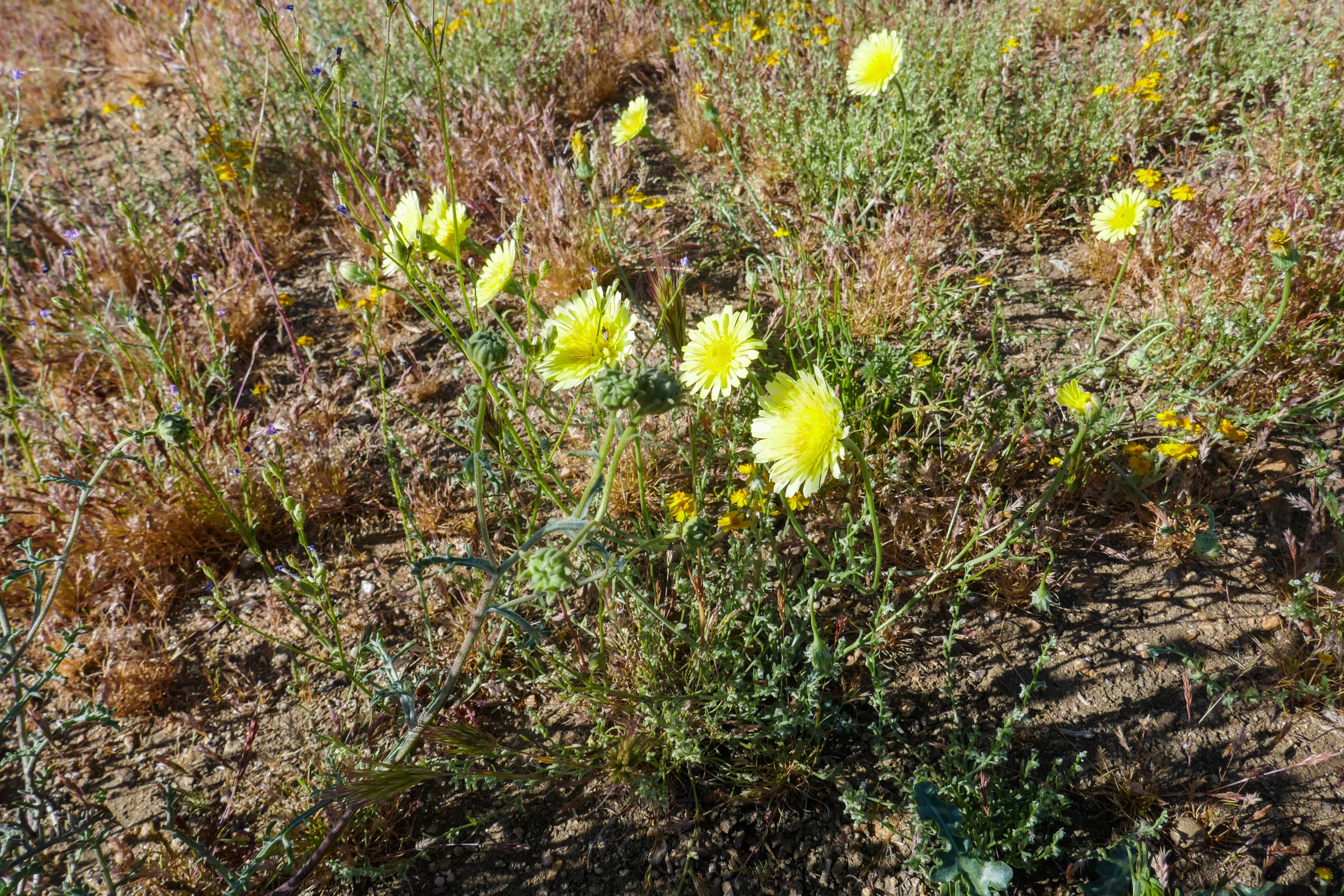lrP1180346.jpg