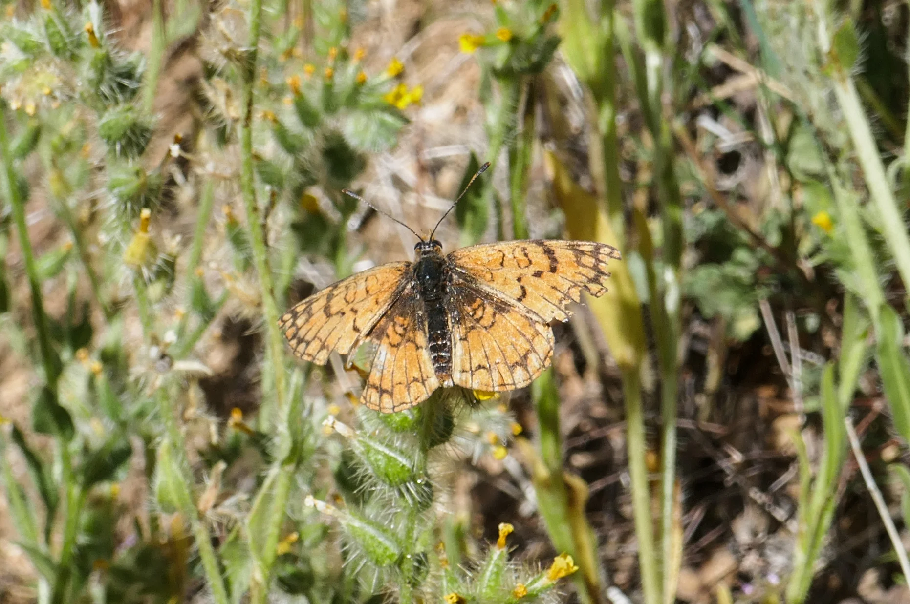 lrP1180391.jpg