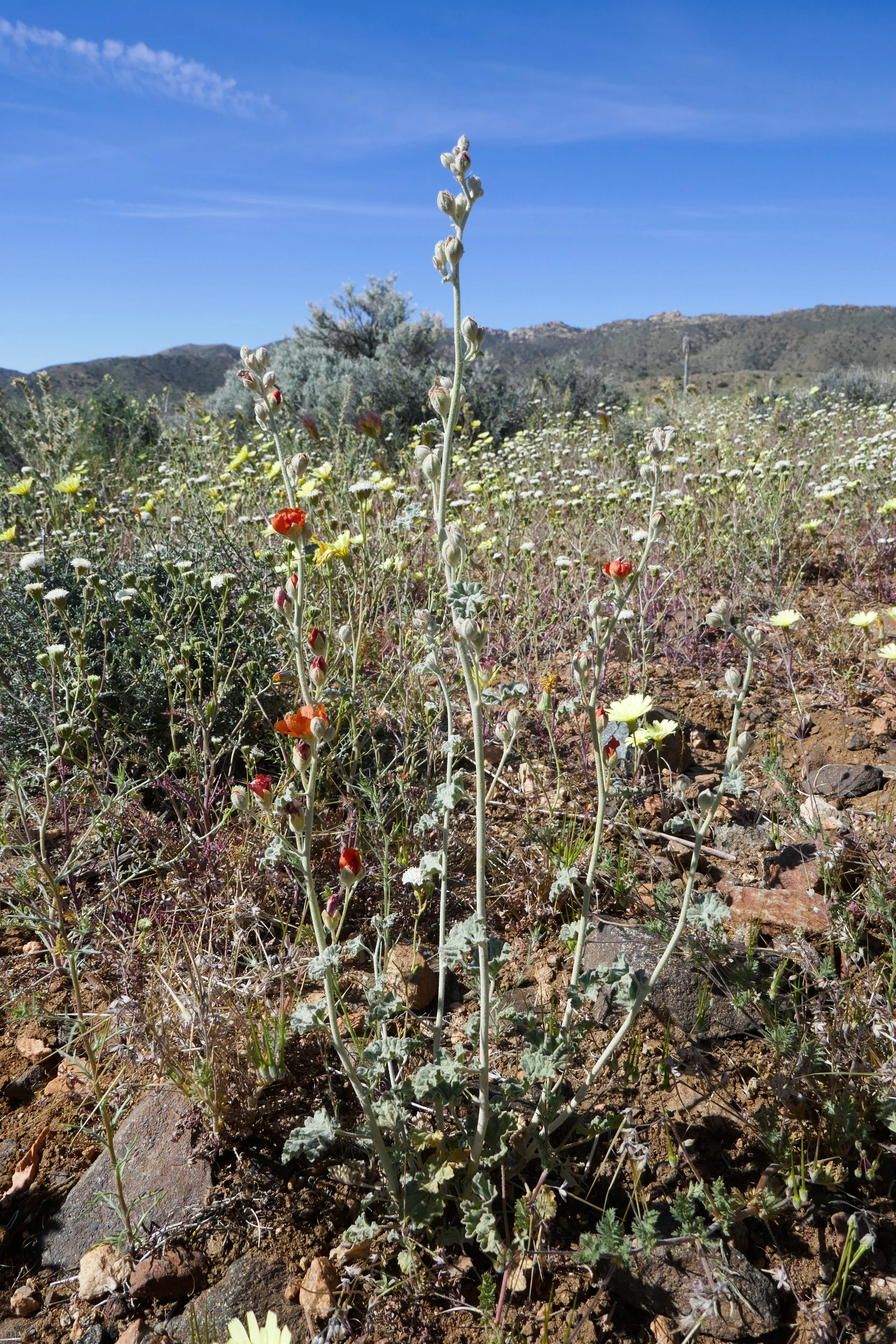 lrP1180412.jpg