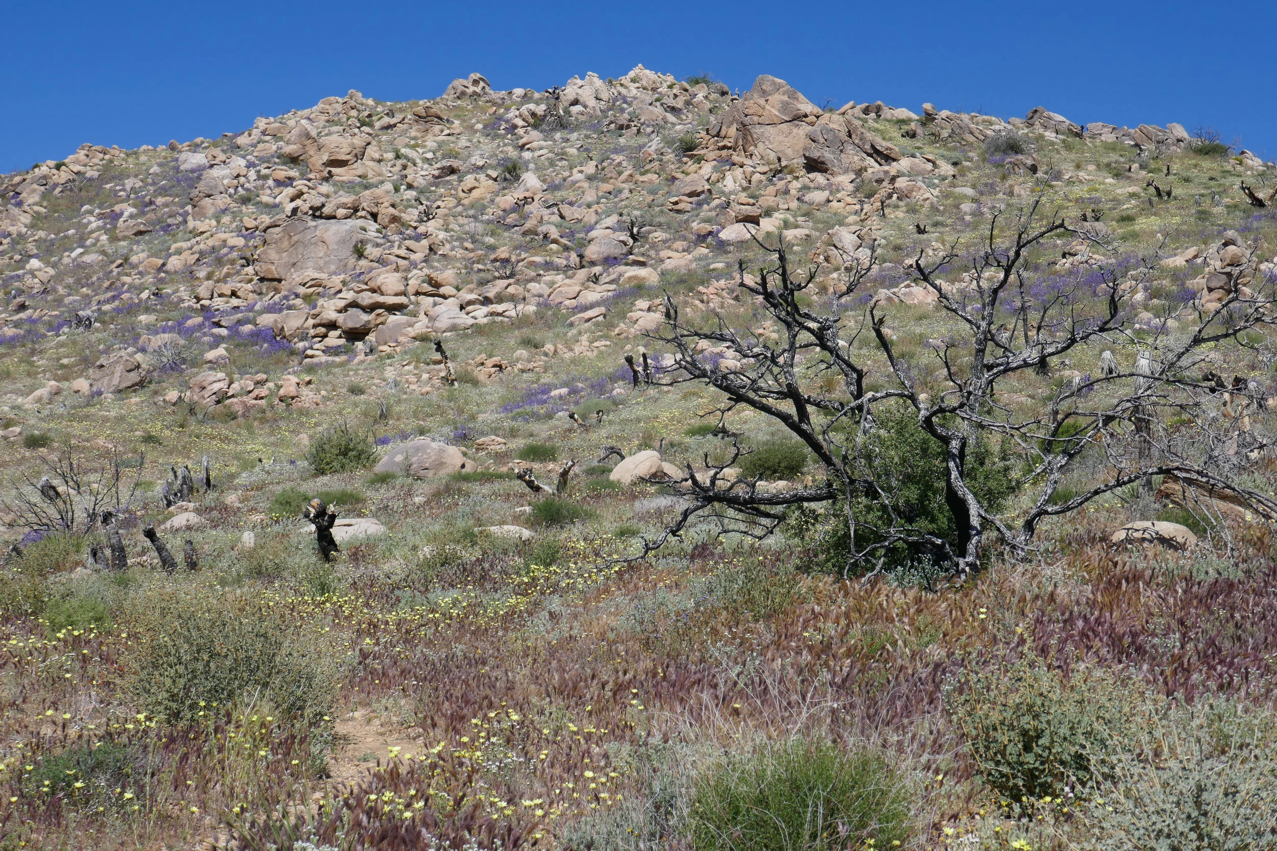 lrP1180491.jpg