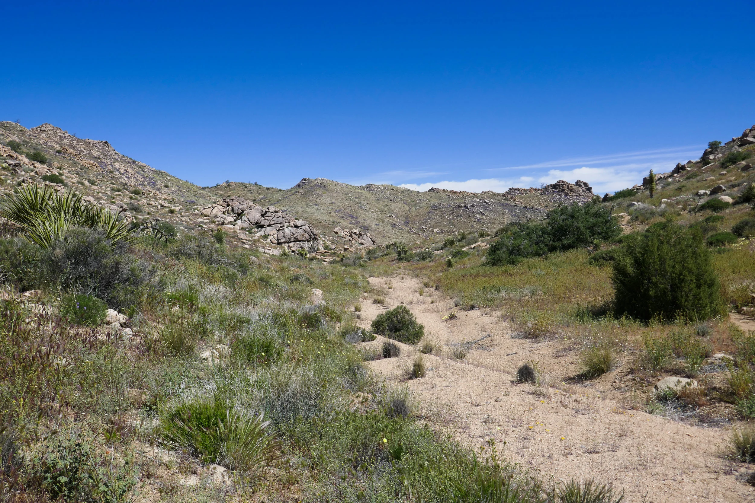 lrP1180498.jpg