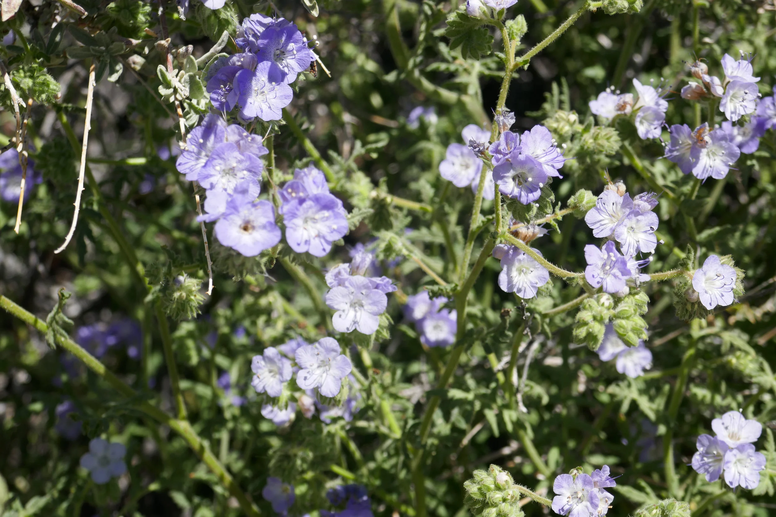 lrP1180581.jpg