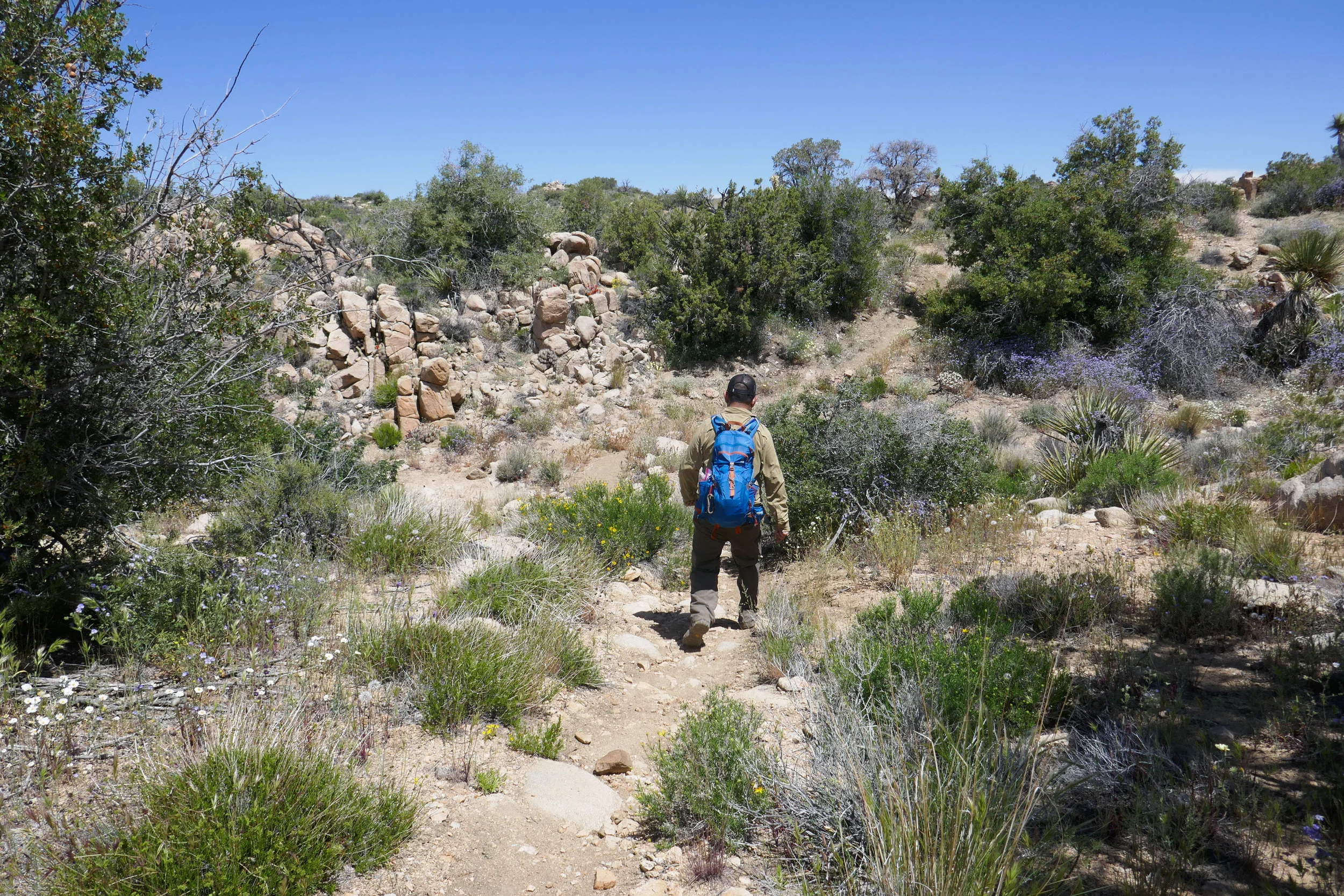 lrP1180590.jpg