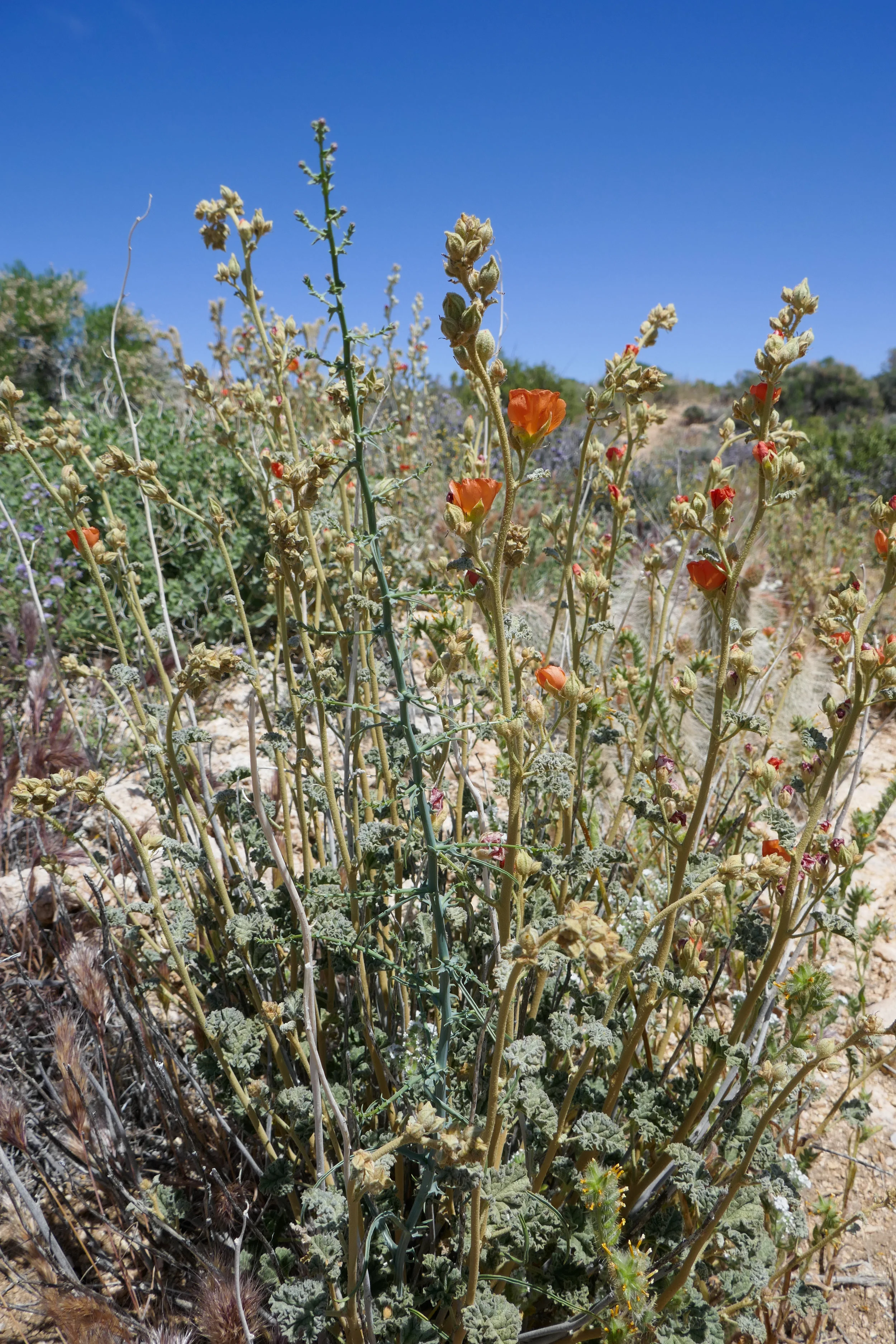 lrP1180596.jpg