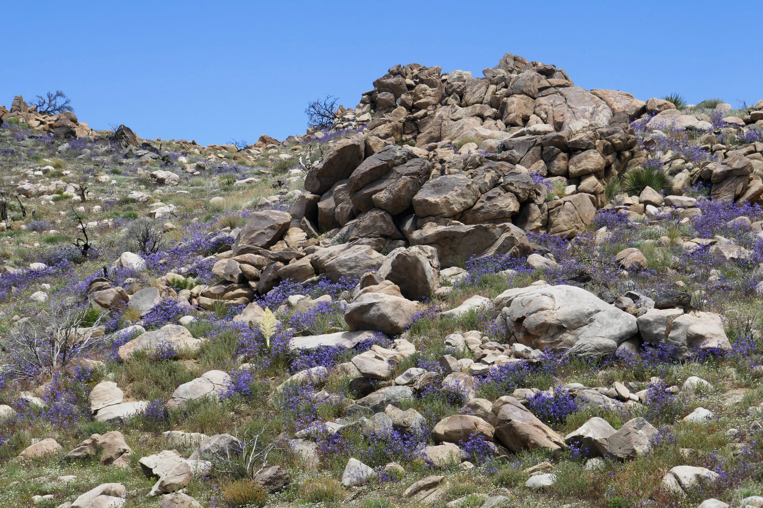 lrP1180635.jpg