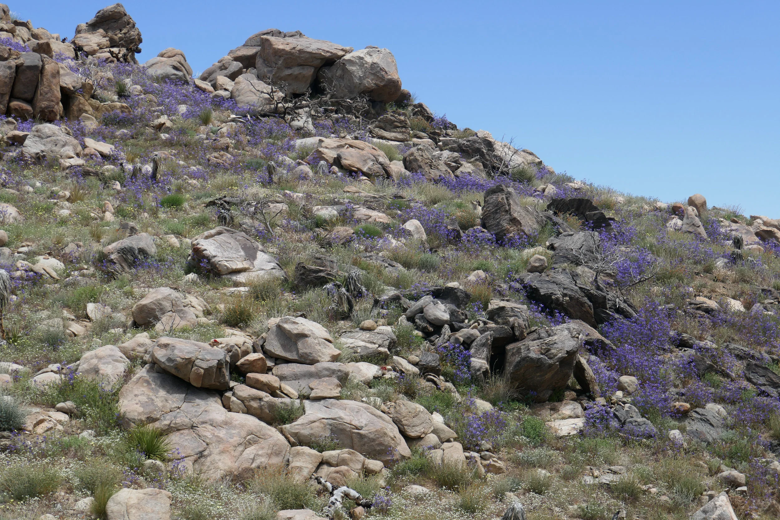lrP1180637.jpg