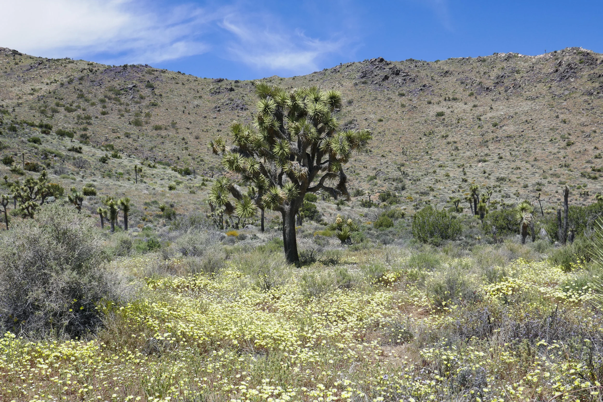lrP1180721.jpg
