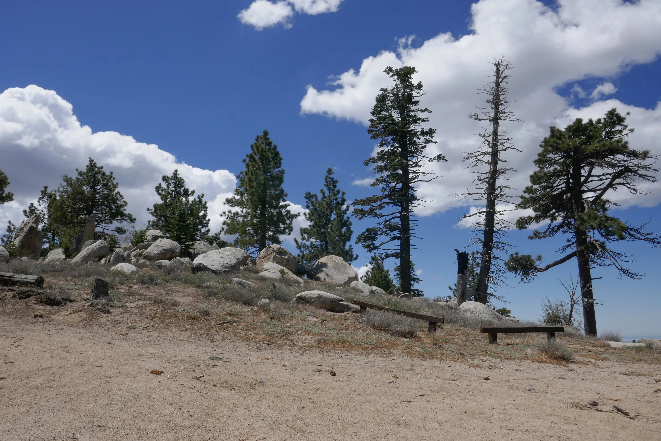 lrP1180939.jpg