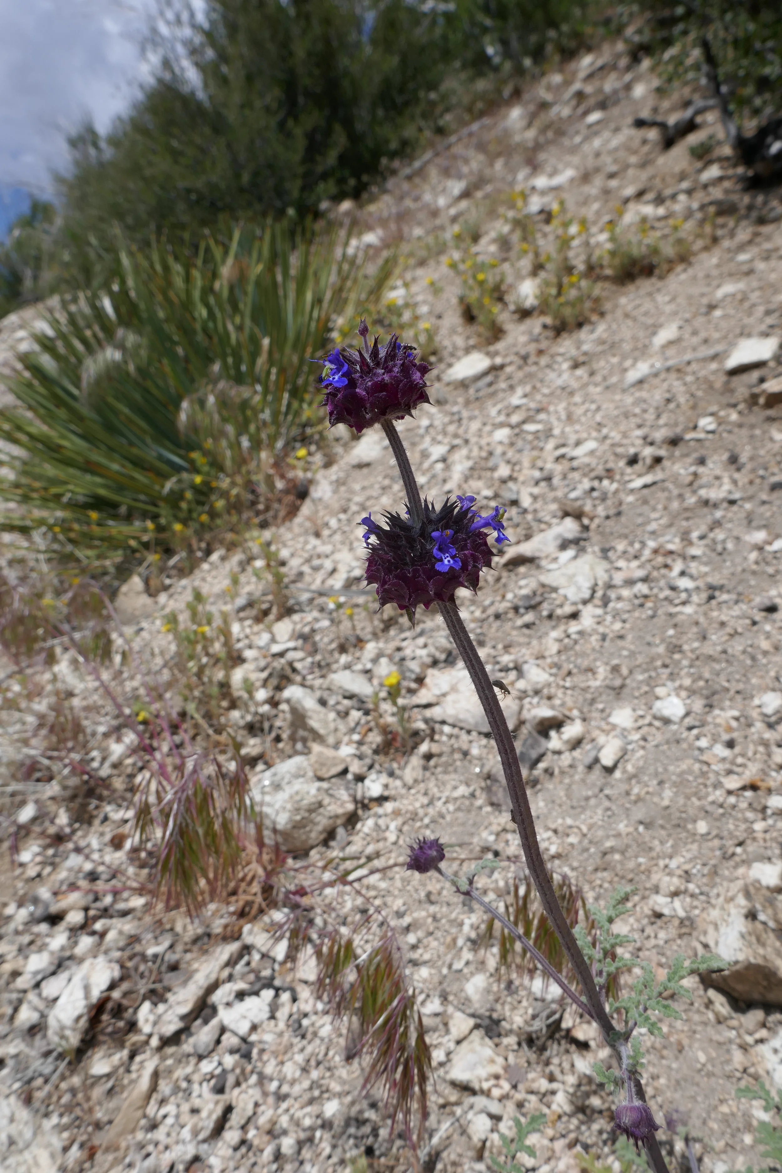 lrP1190104.jpg