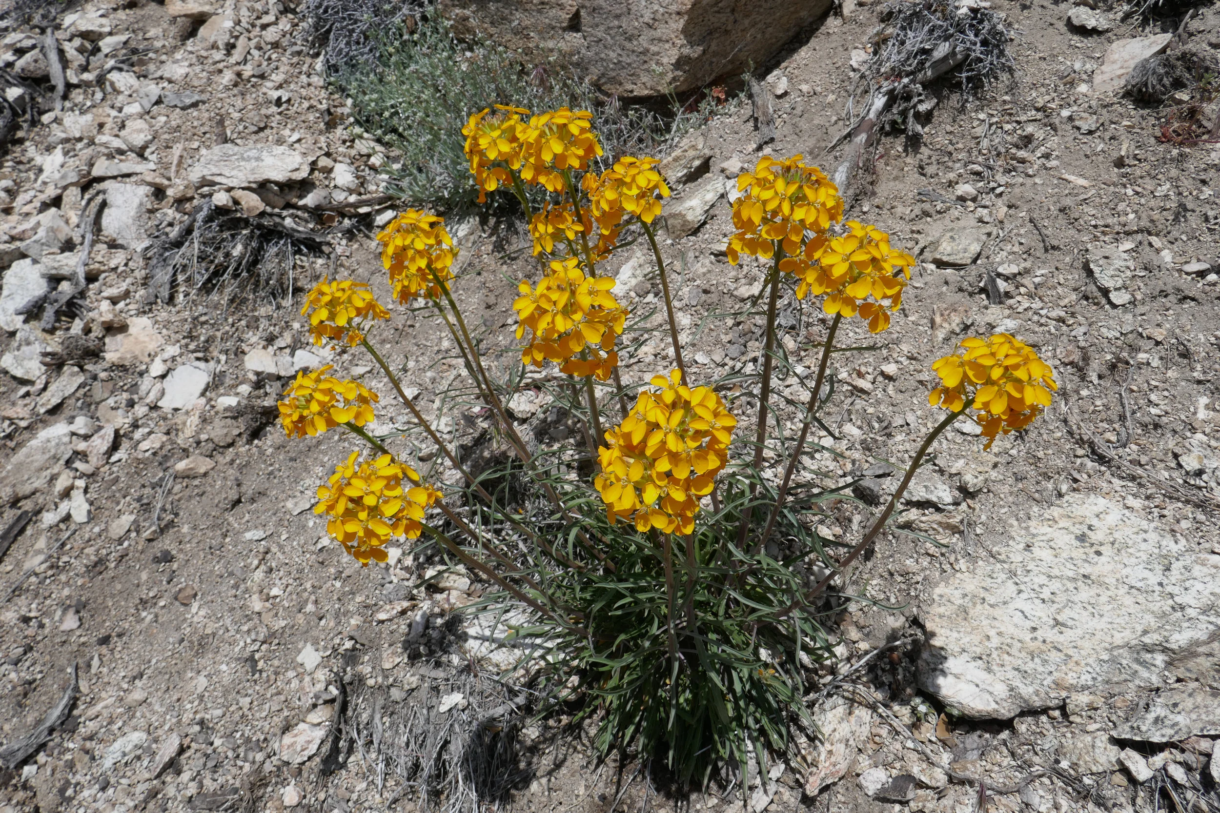 lrP1190099.jpg