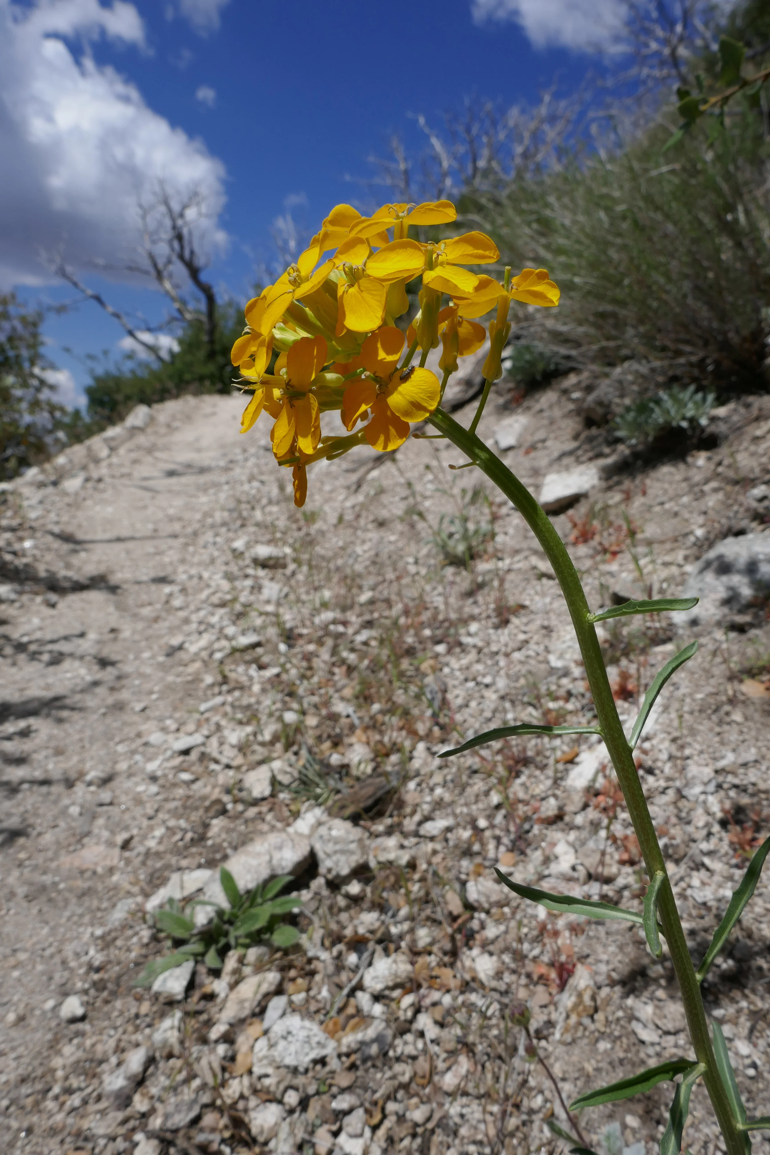lrP1190095.jpg