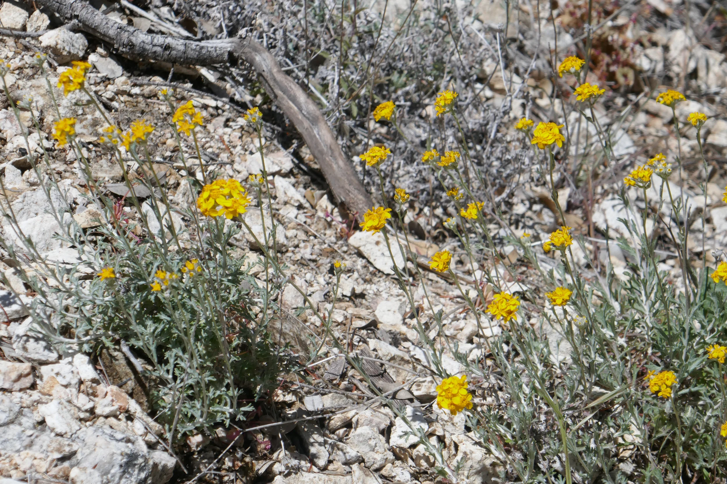 lrP1190197.jpg