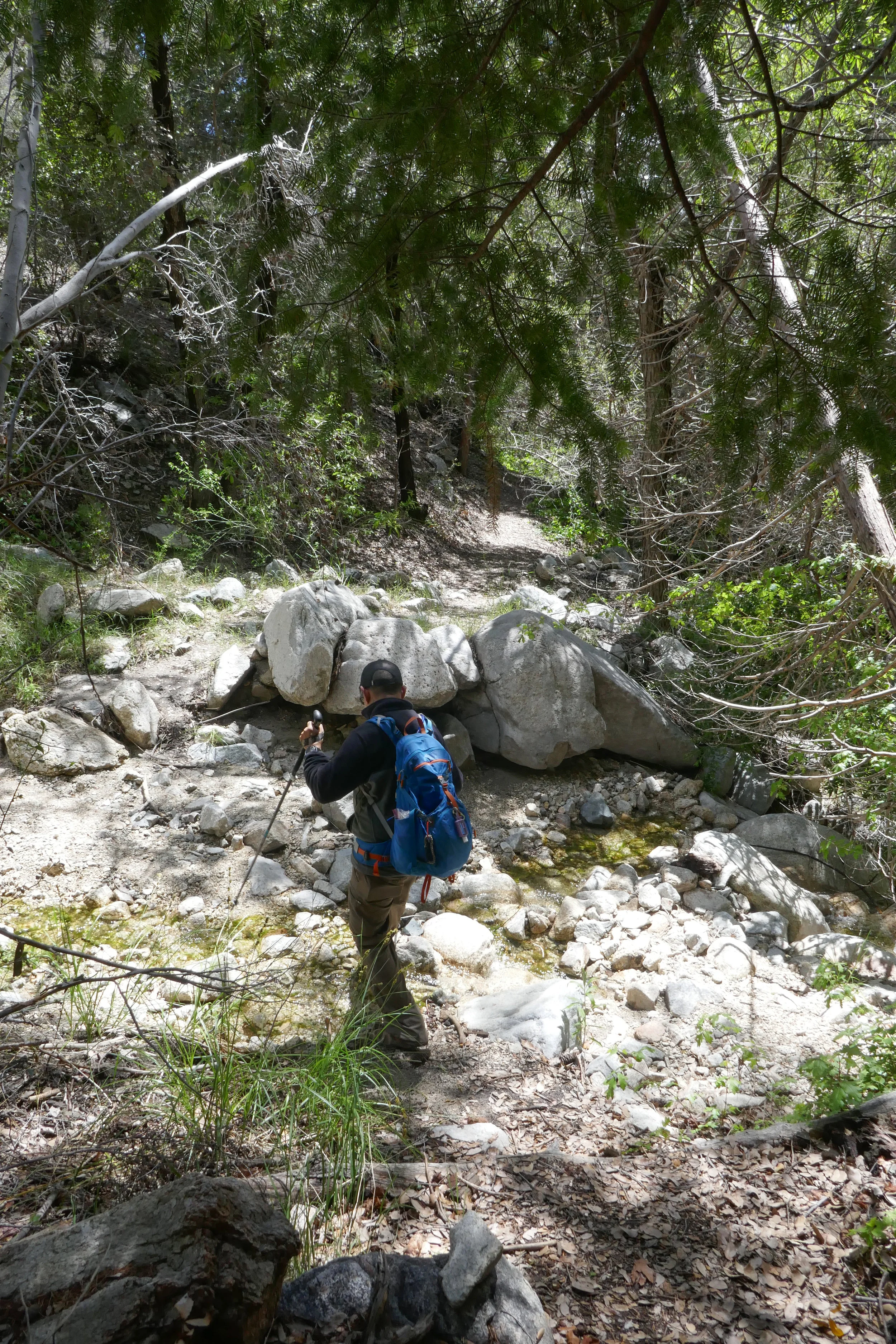 lrP1190239.jpg