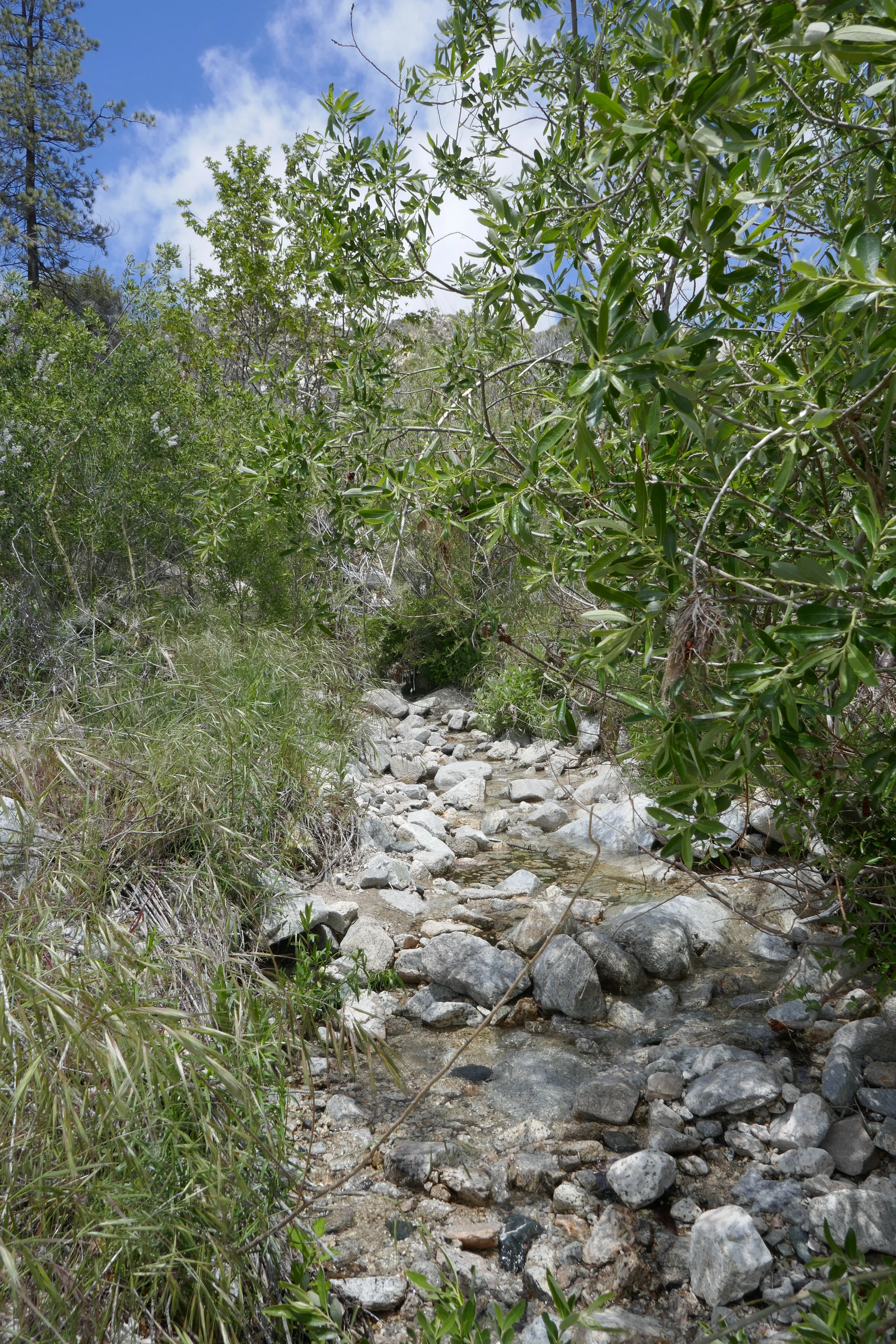 lrP1190320.jpg