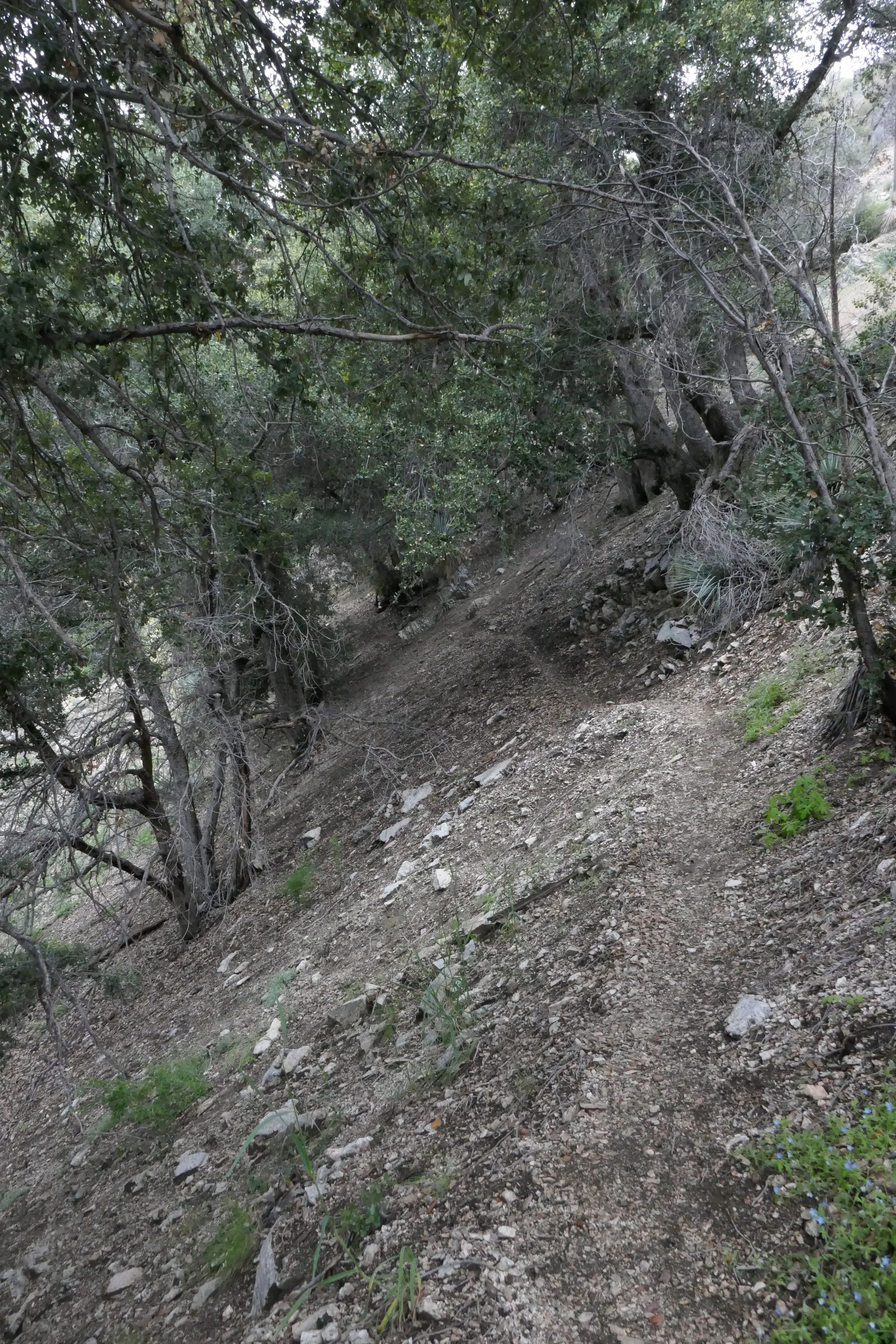 9a.jpg