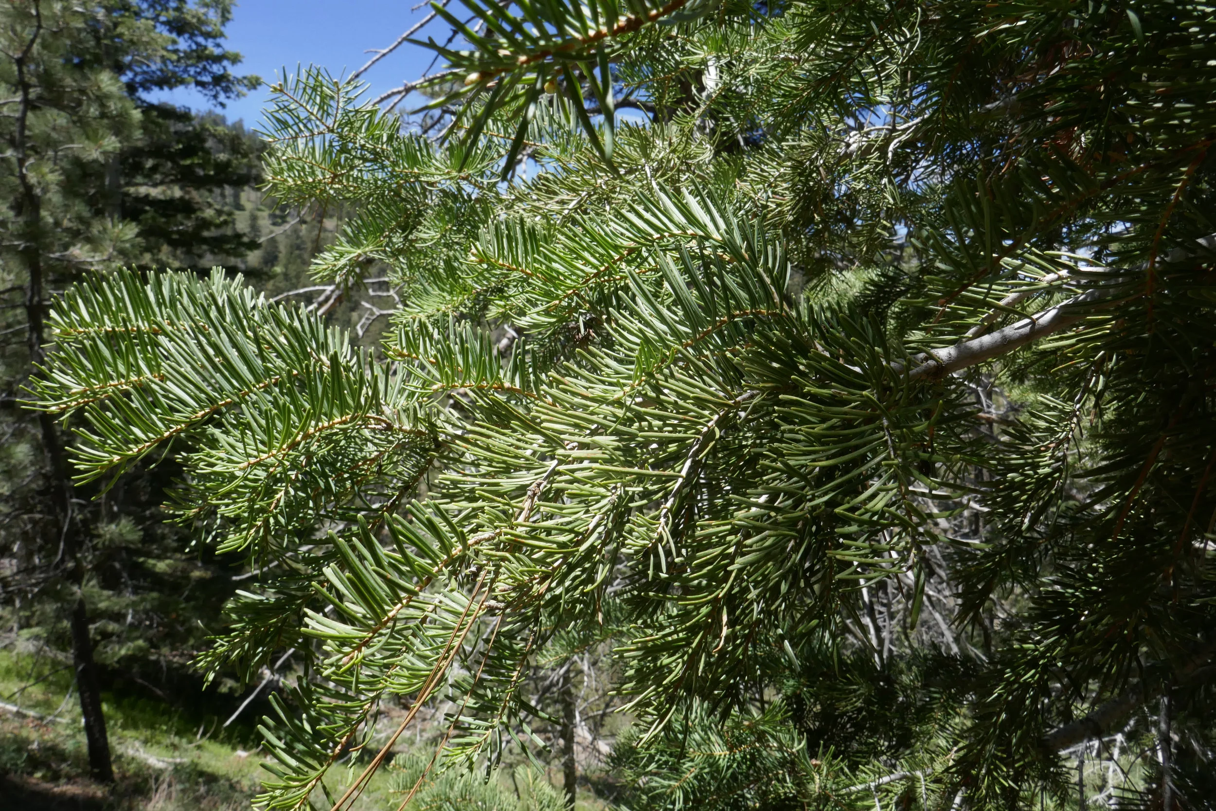lrP1190931.jpg