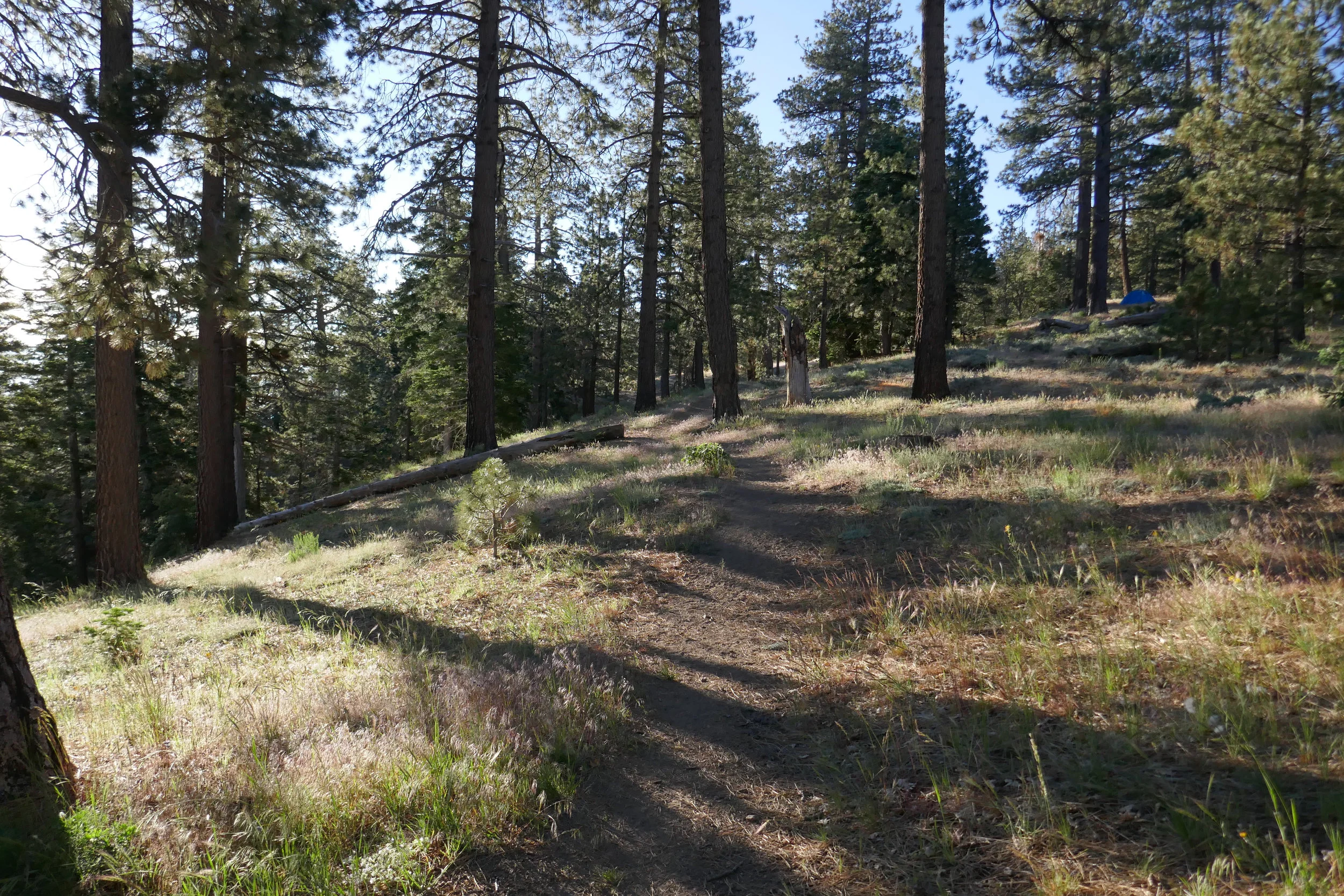 lrP1200482.jpg