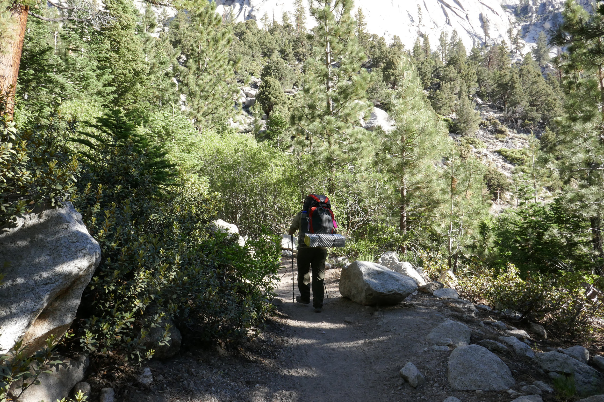 lrP1200685.jpg