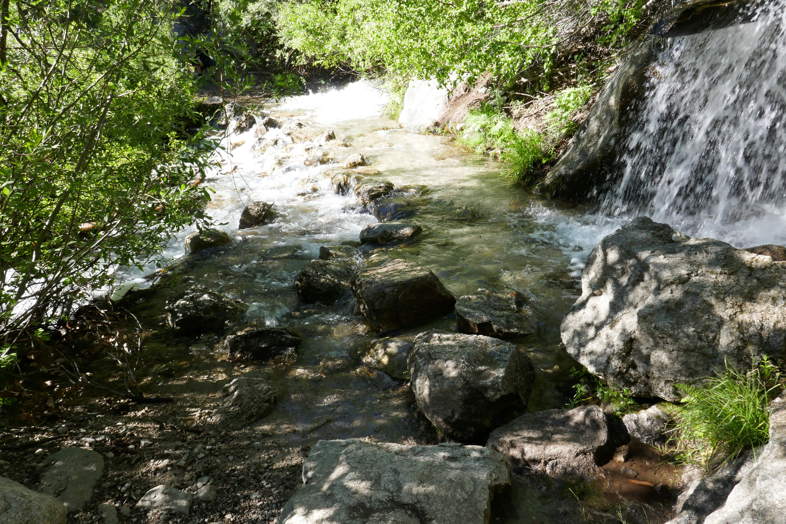 lrP1200704.jpg