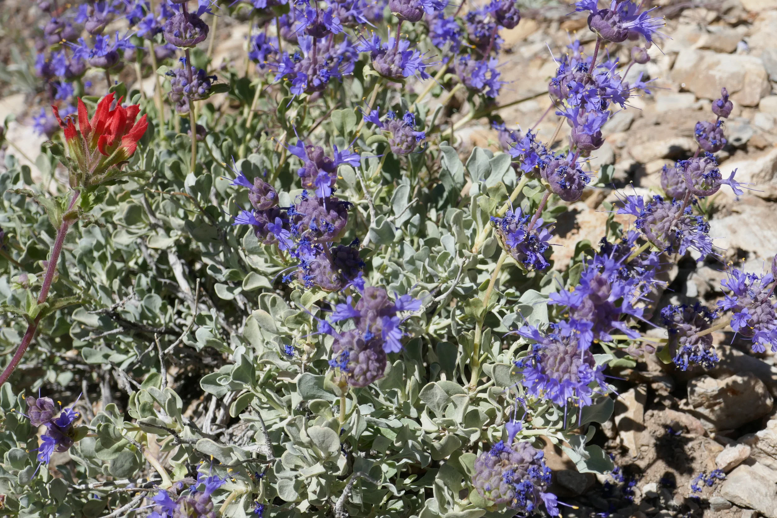 lrP1200571.jpg