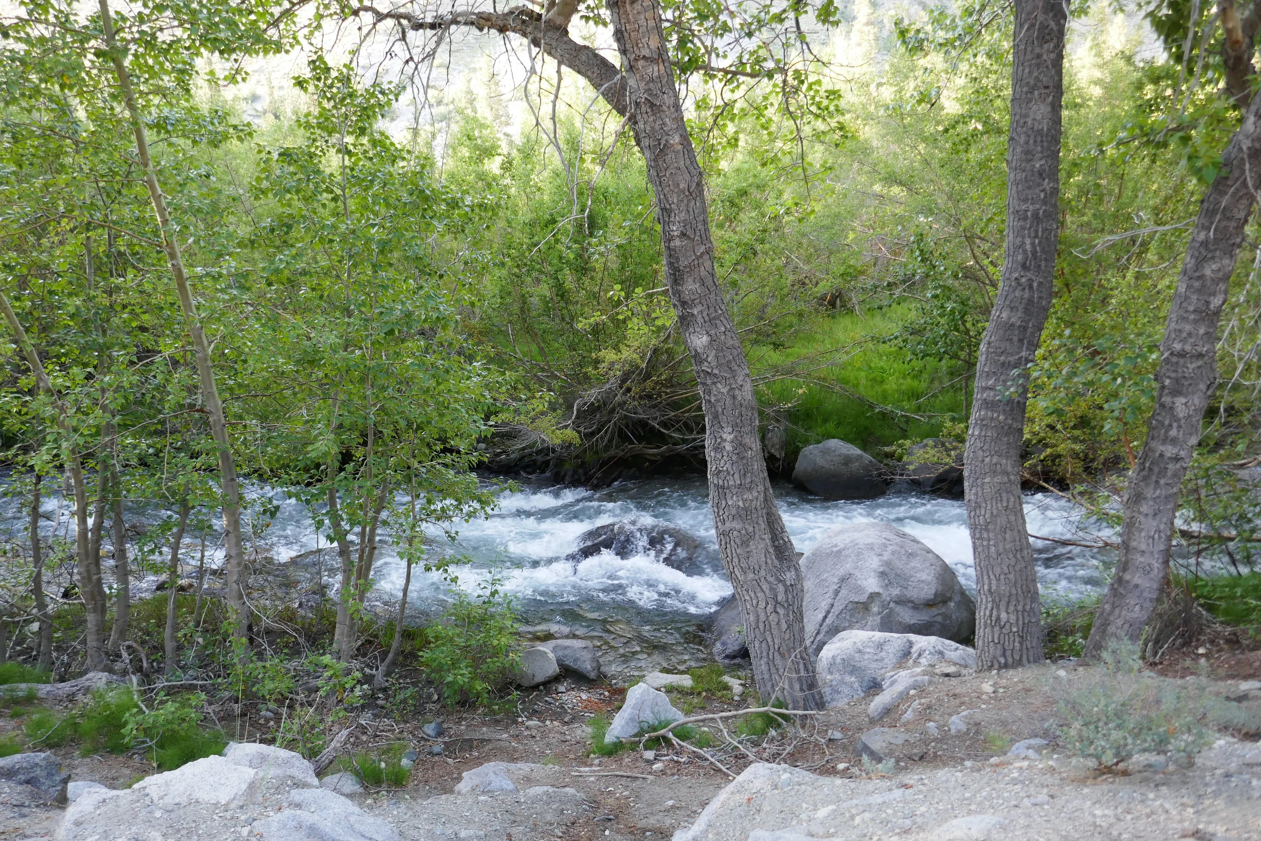 lrP1210029.jpg