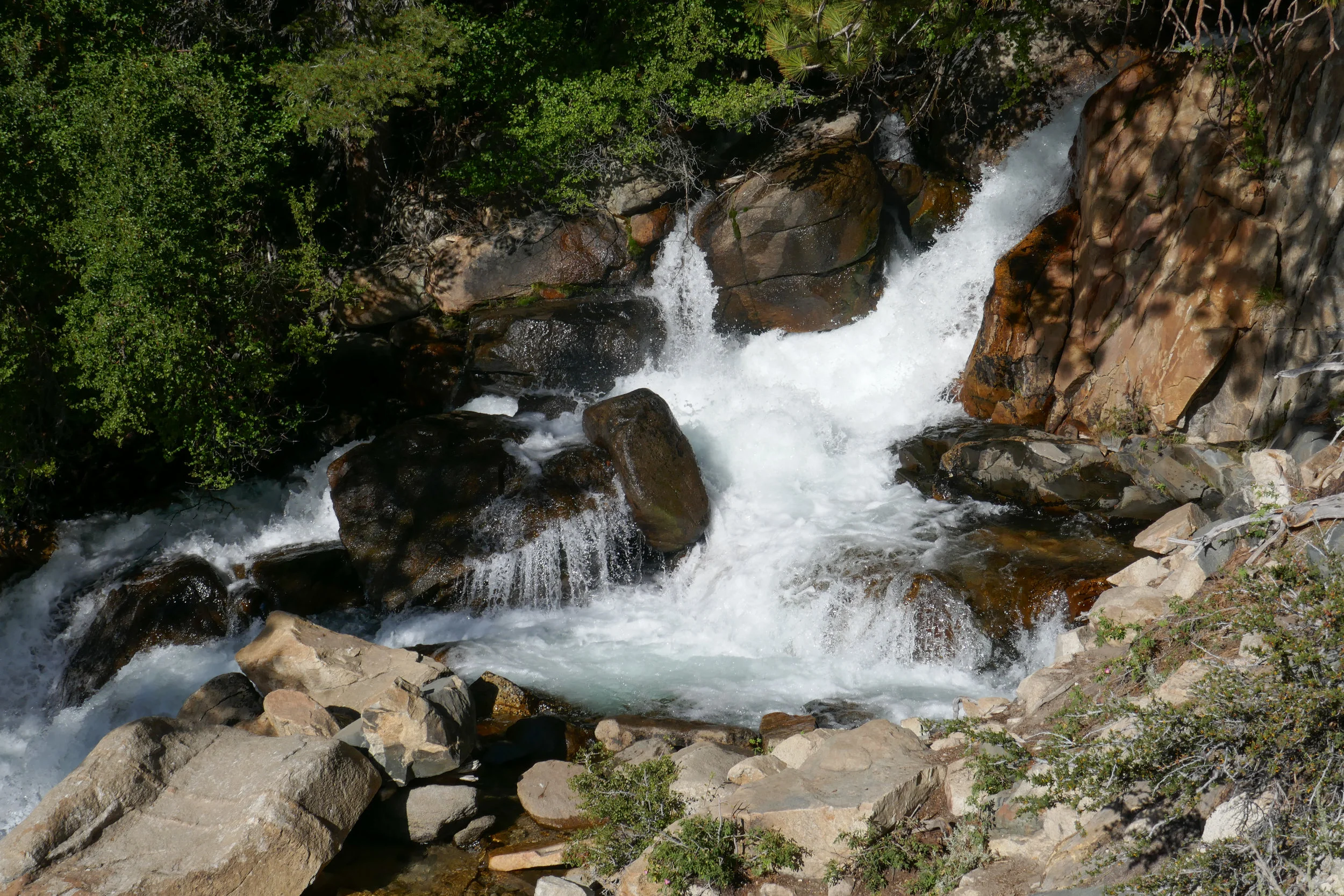 lrP1210075.jpg