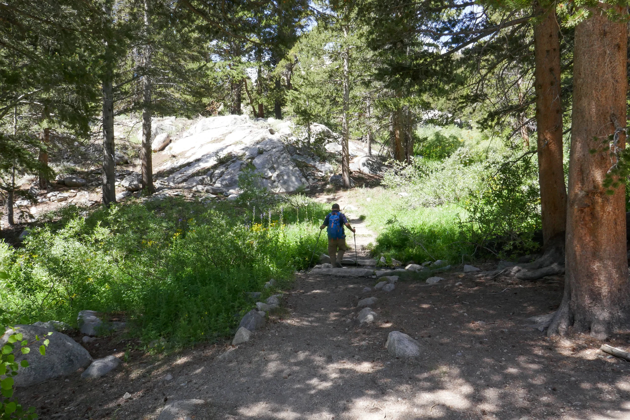 lrP1210186.jpg