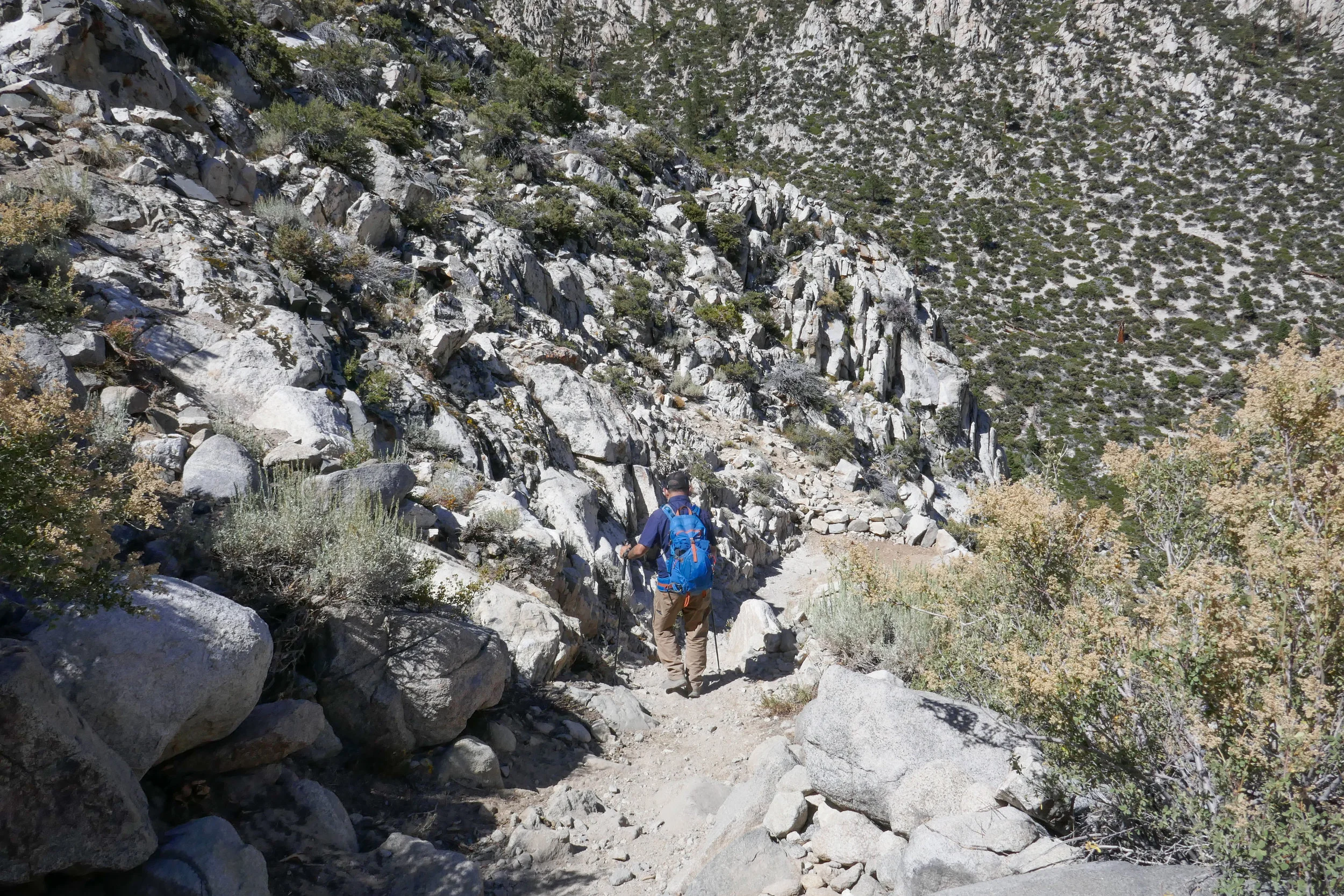 lrP1210351.jpg