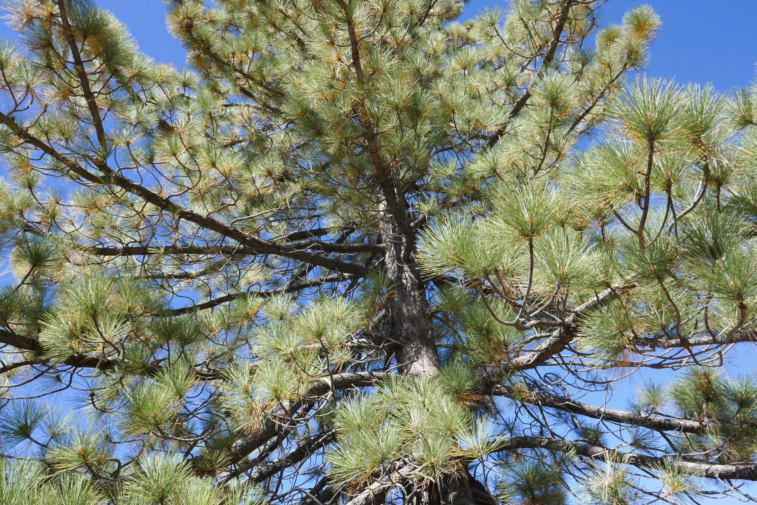 lrP1210755.jpg