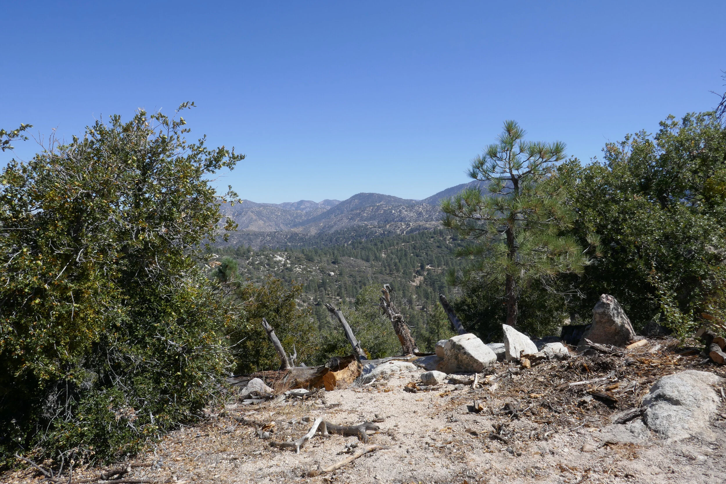 lrP1210765.jpg