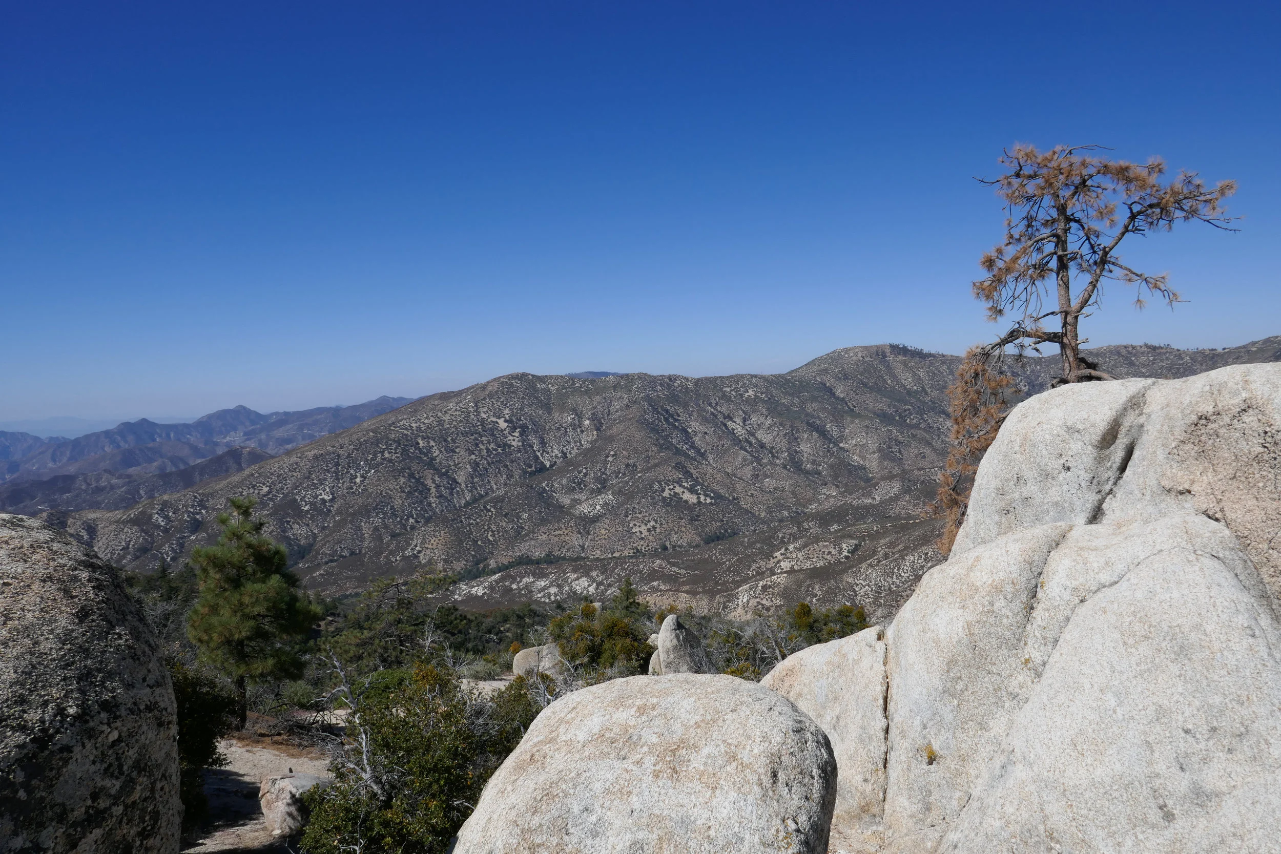 Mt. Hillyer, 6.7 Miles RT, 6,215' Max Elevation, October 6, 2019