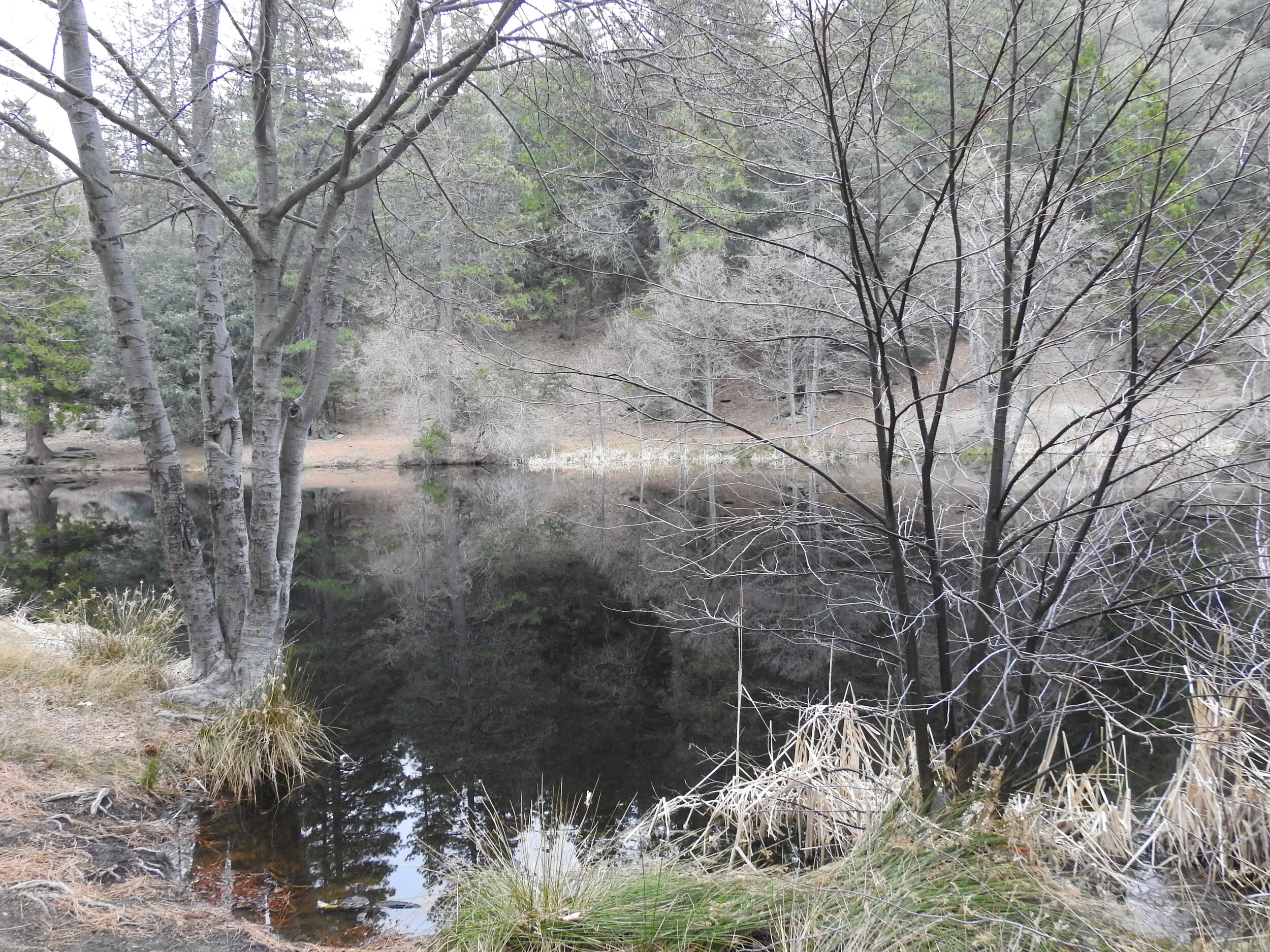 Lake Fulmor, Deer Springs to Suicide Rock, Idyllwild, CA, February 9, 2020