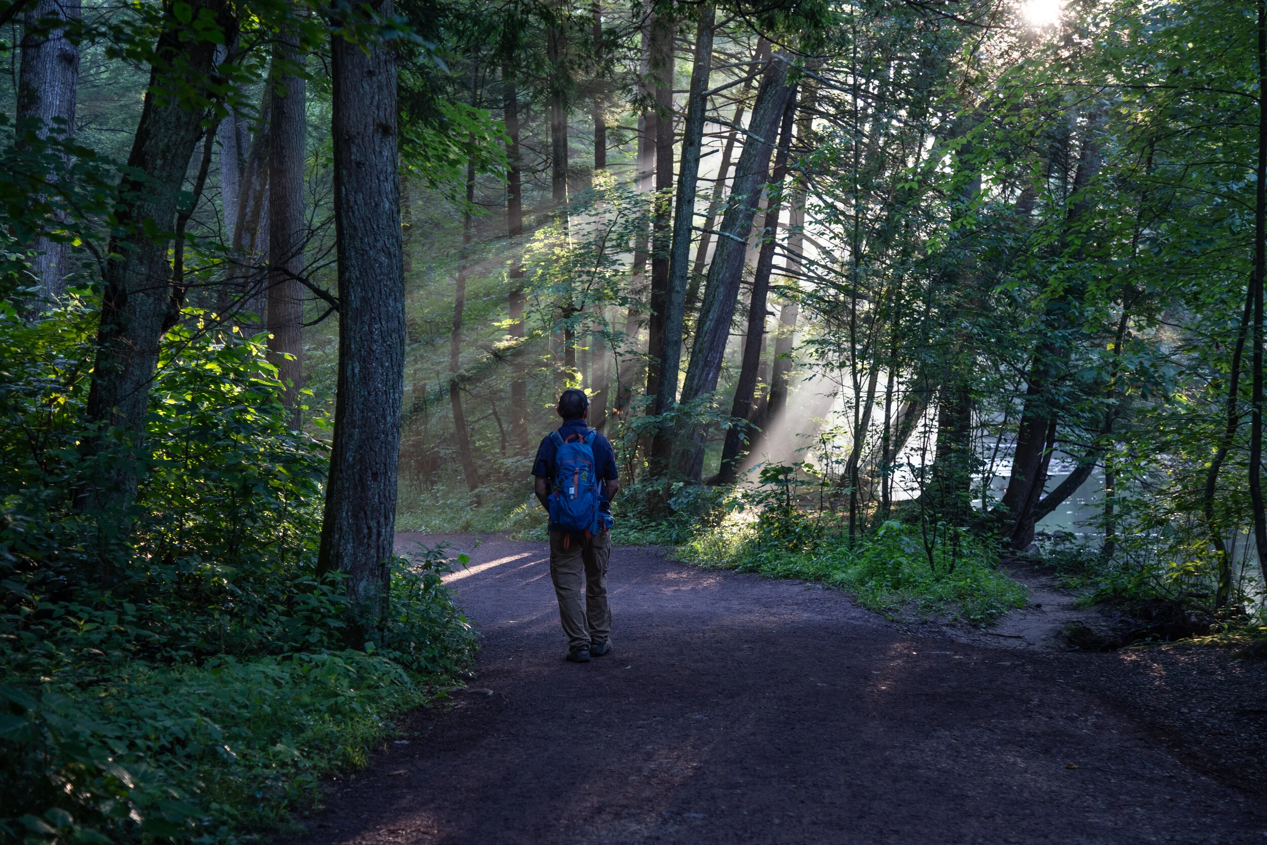 Jacobsburg State Park, Henry's Woods to Jacobsburg Trail, 4 Mile walk, June 28, 2020