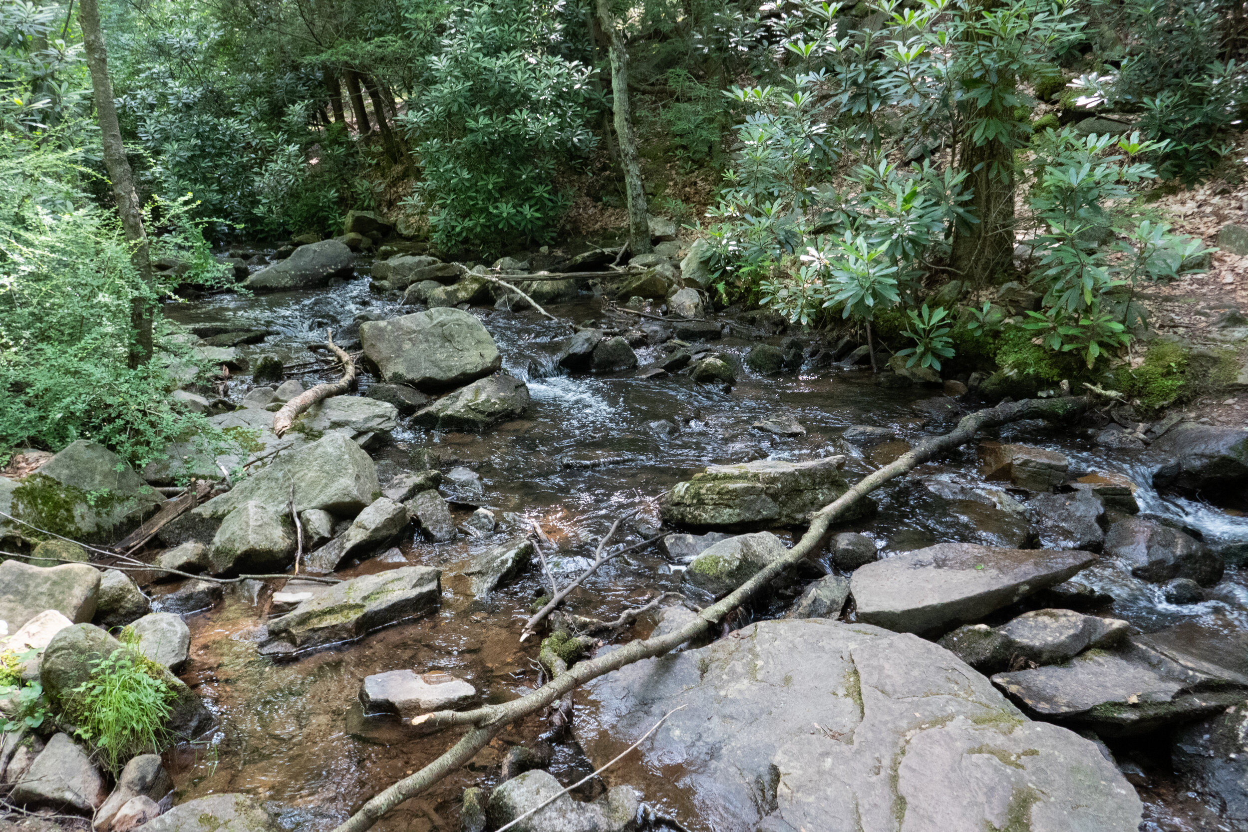 lrP1230473.jpg