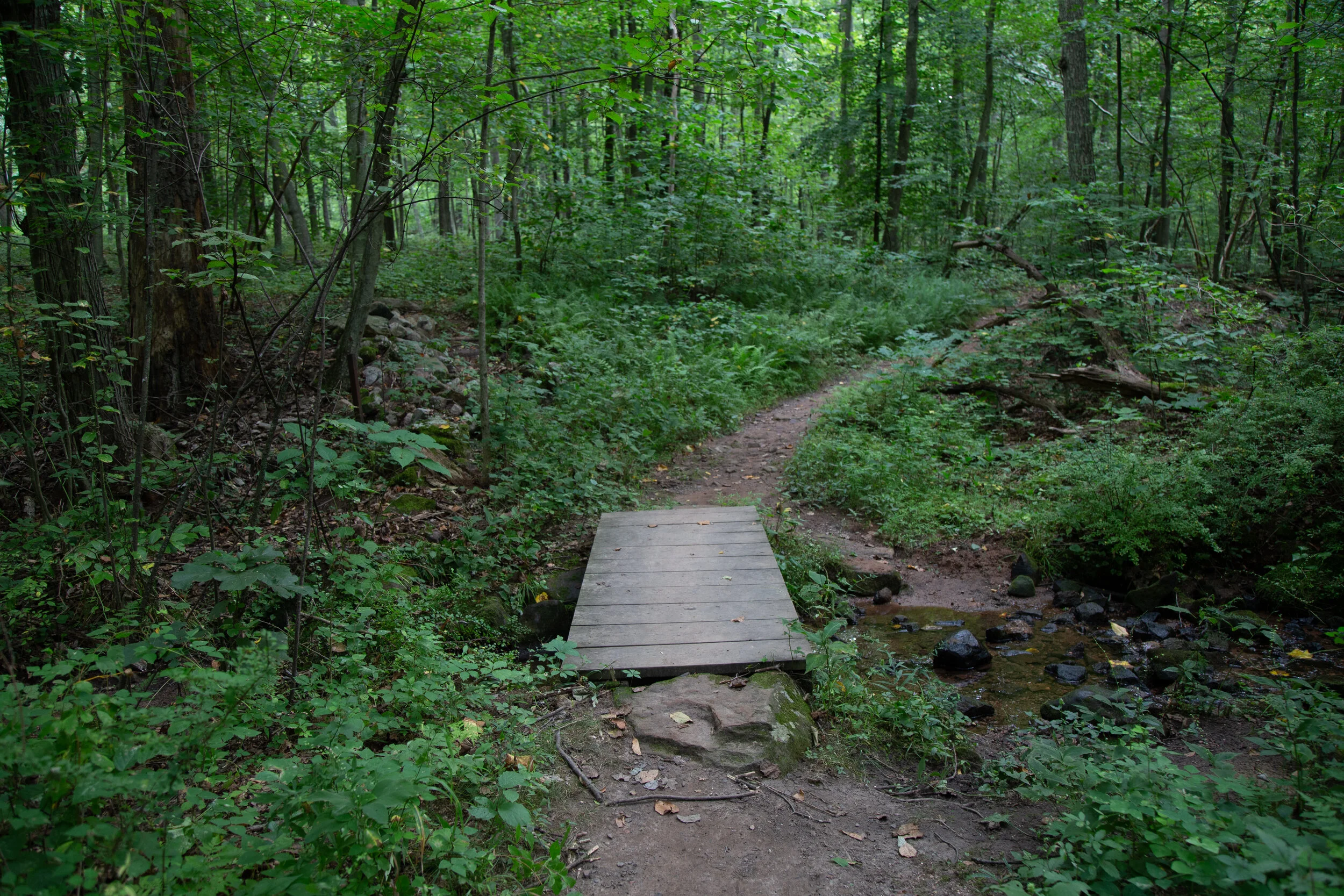 lrIMG_1105.jpg