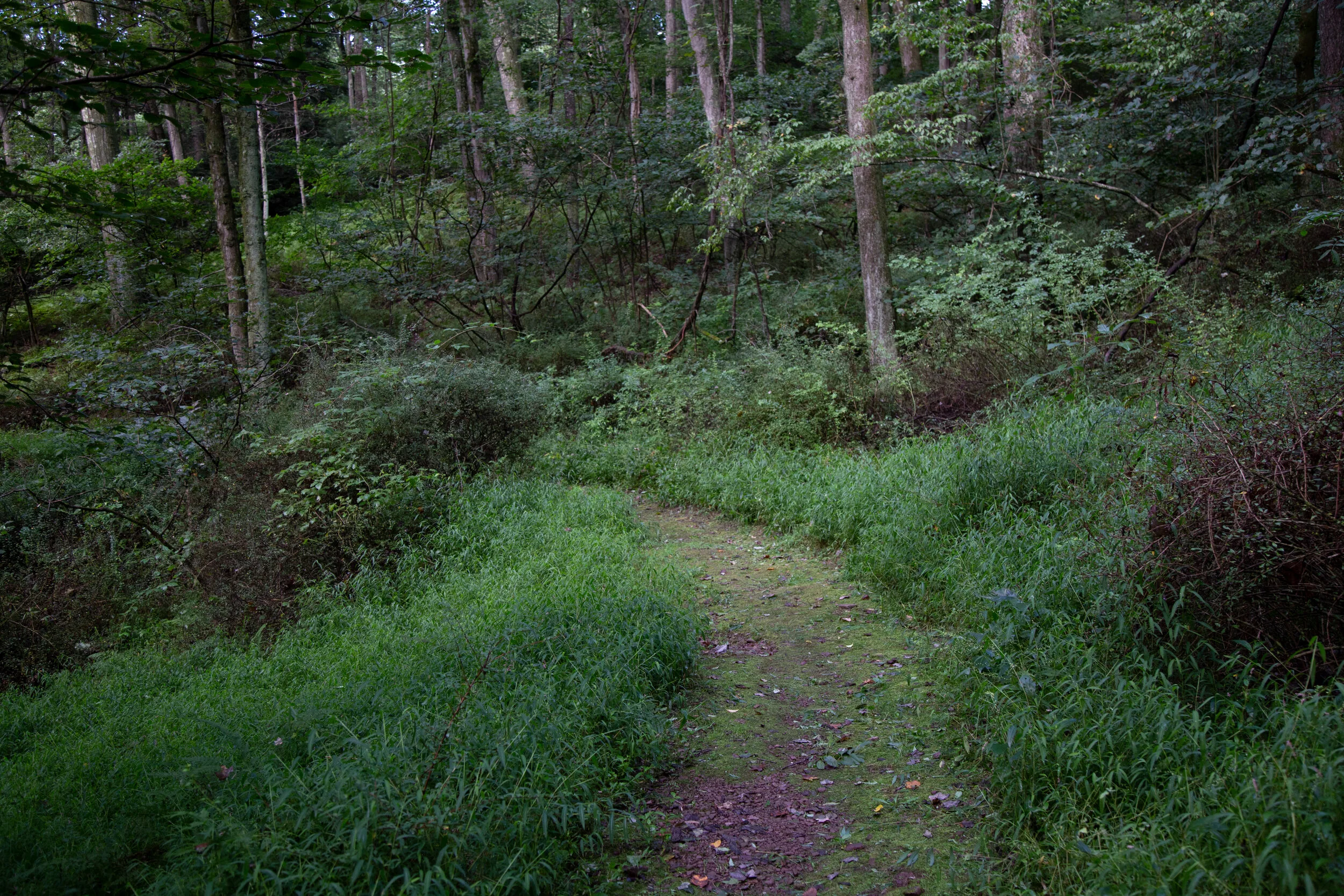lrIMG_1443.jpg