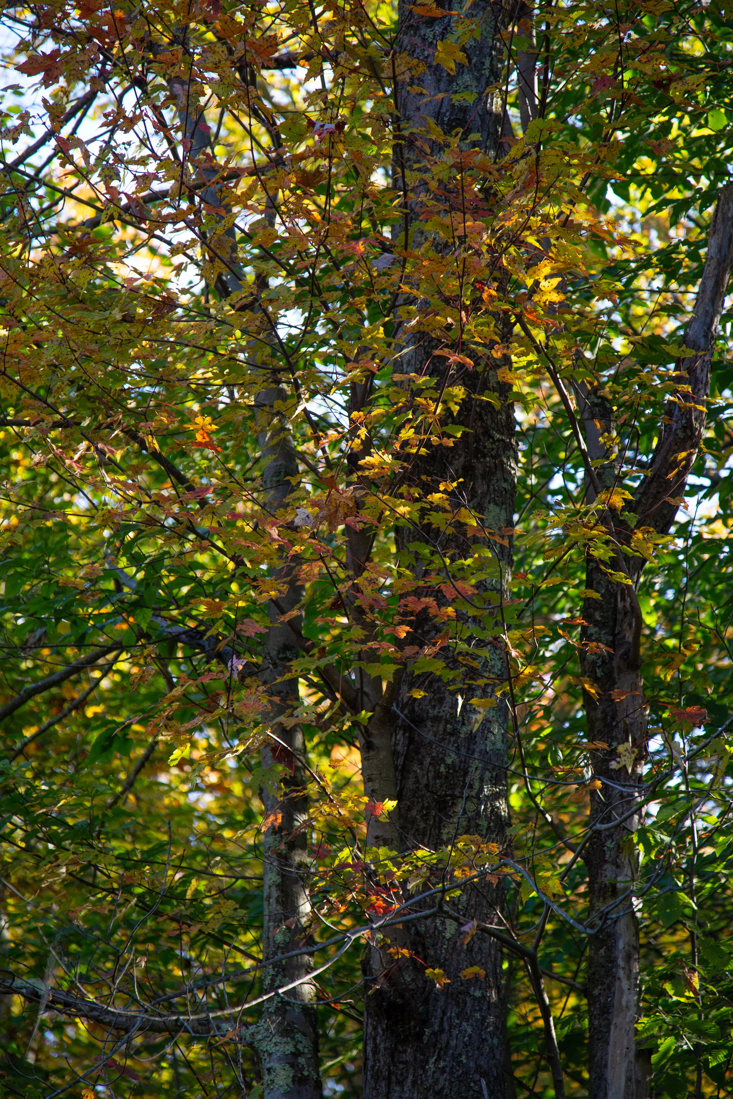 lrIMG_3457.jpg