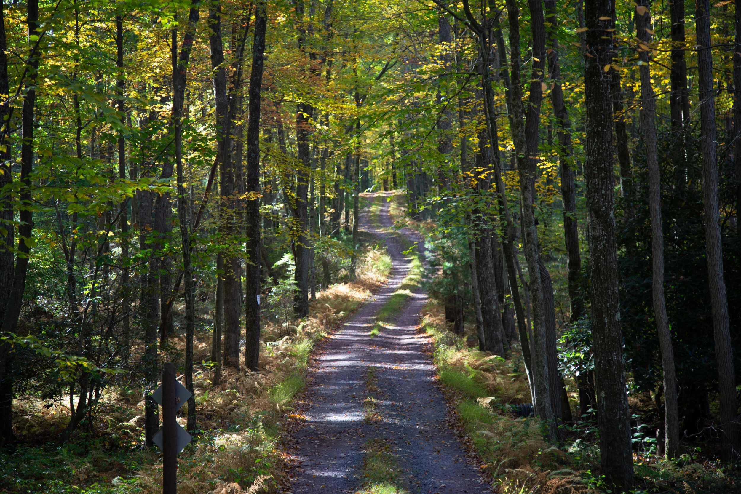 lrIMG_3488.jpg