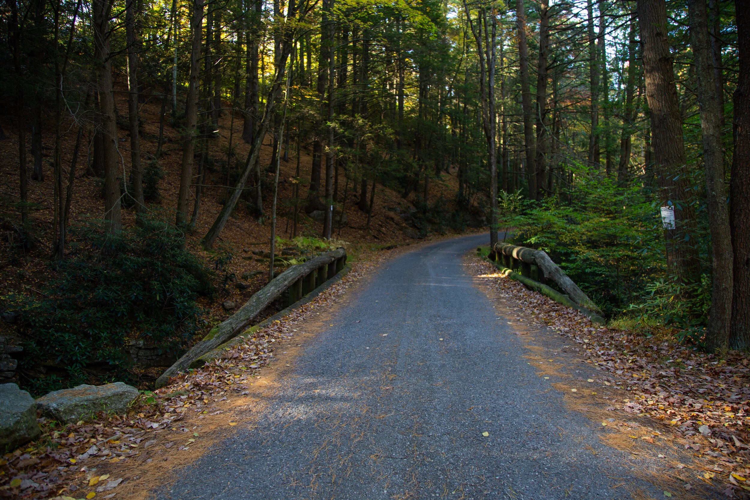 lrIMG_3555.jpg