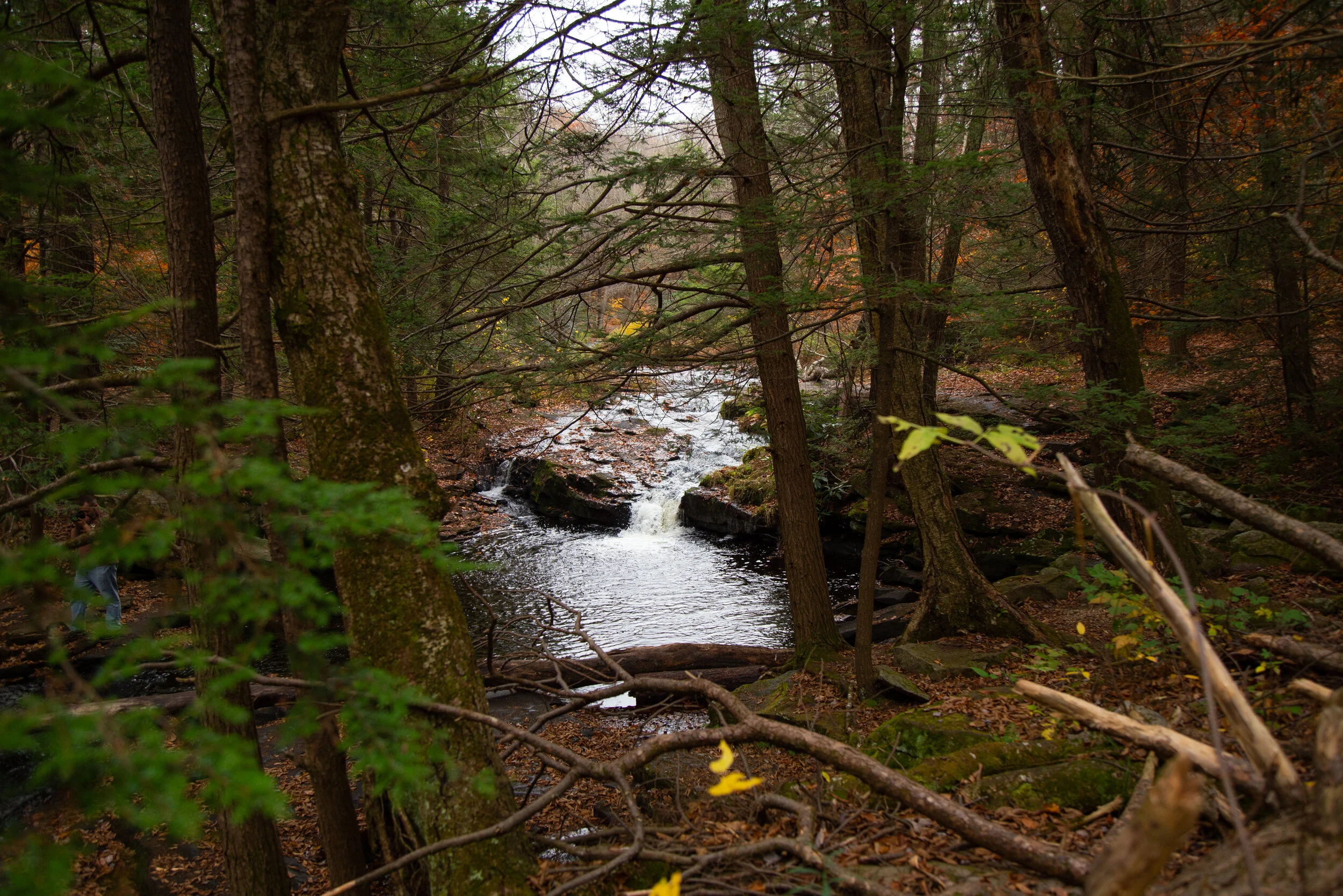 lrIMG_4077.jpg