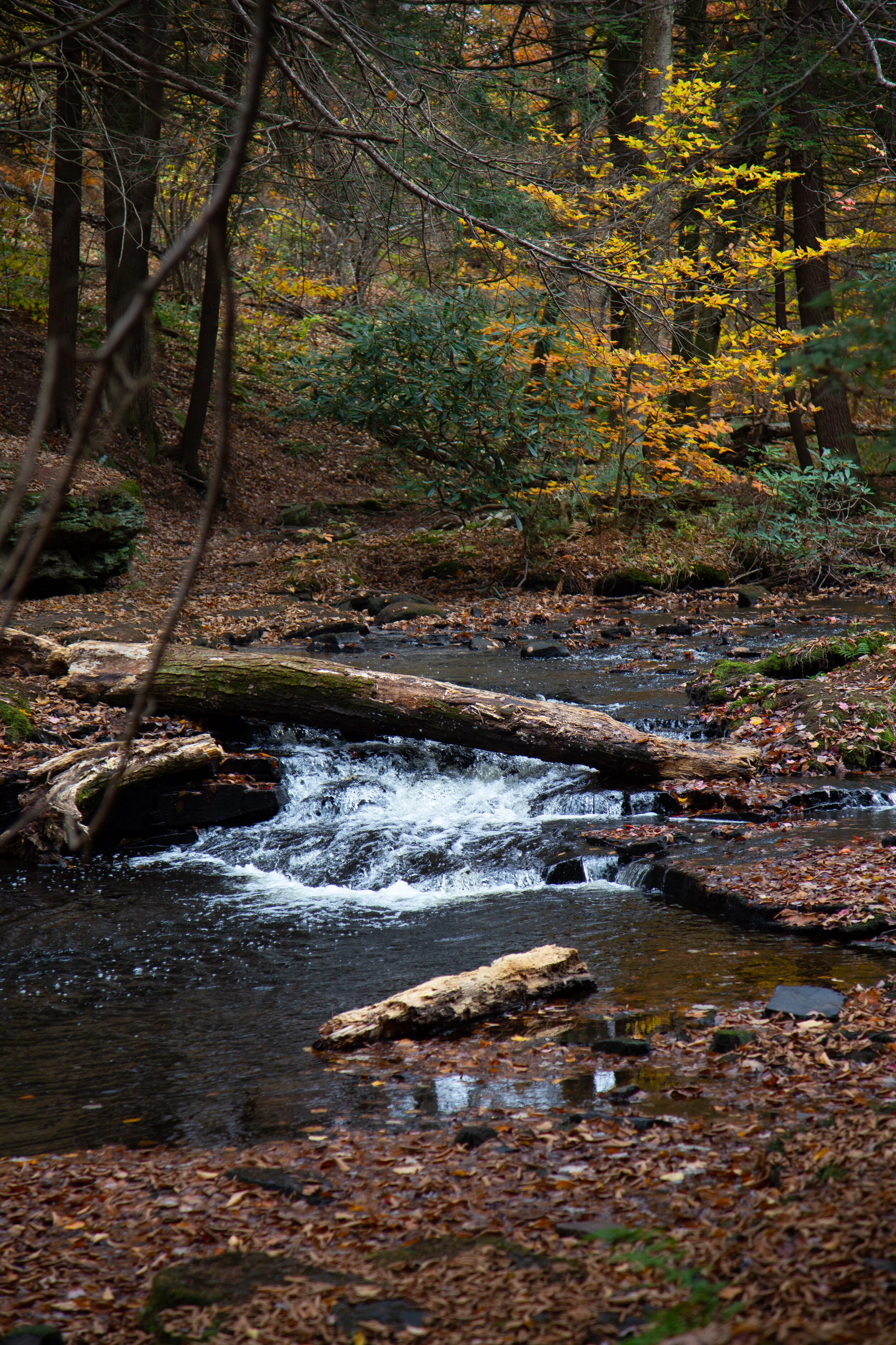 Promised Land State Park, October 23, 2020