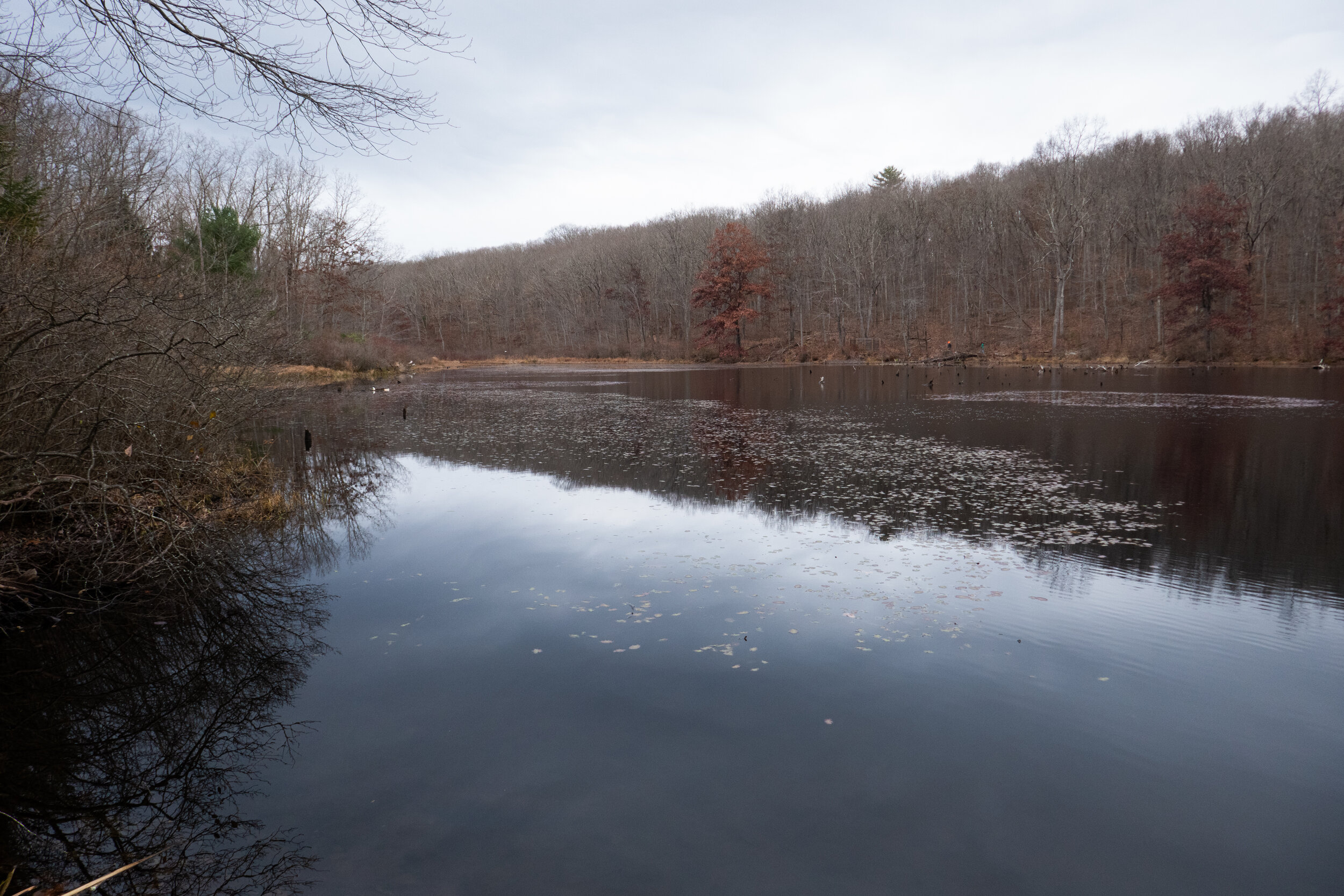 Nescopeck State Park, November 15, 2020